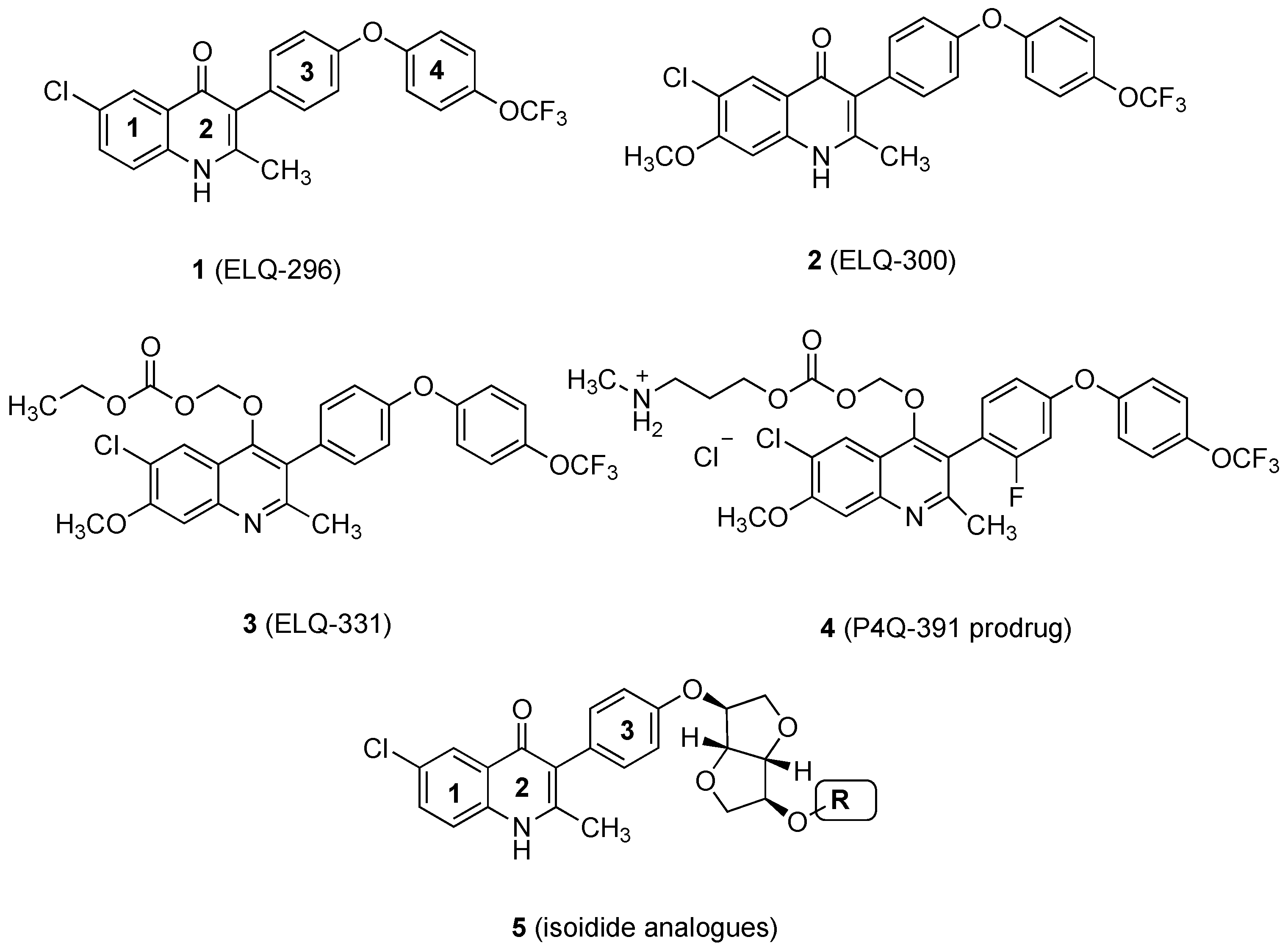 Molecules 29 03615 g001