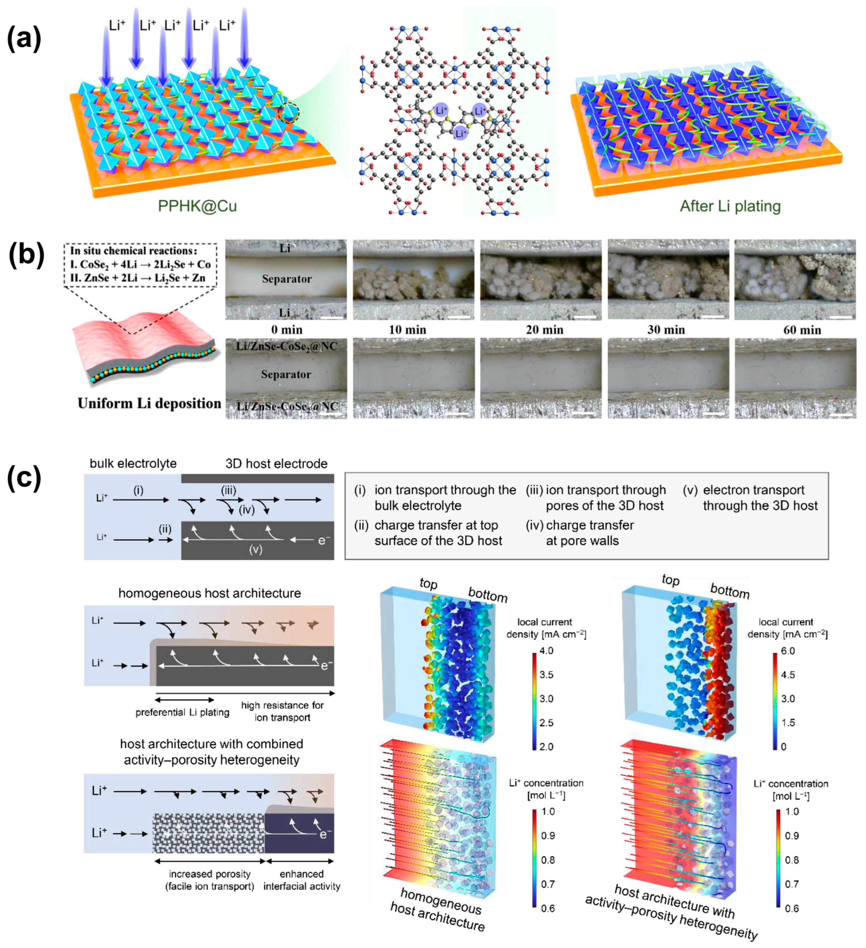 Molecules 29 03624 g004