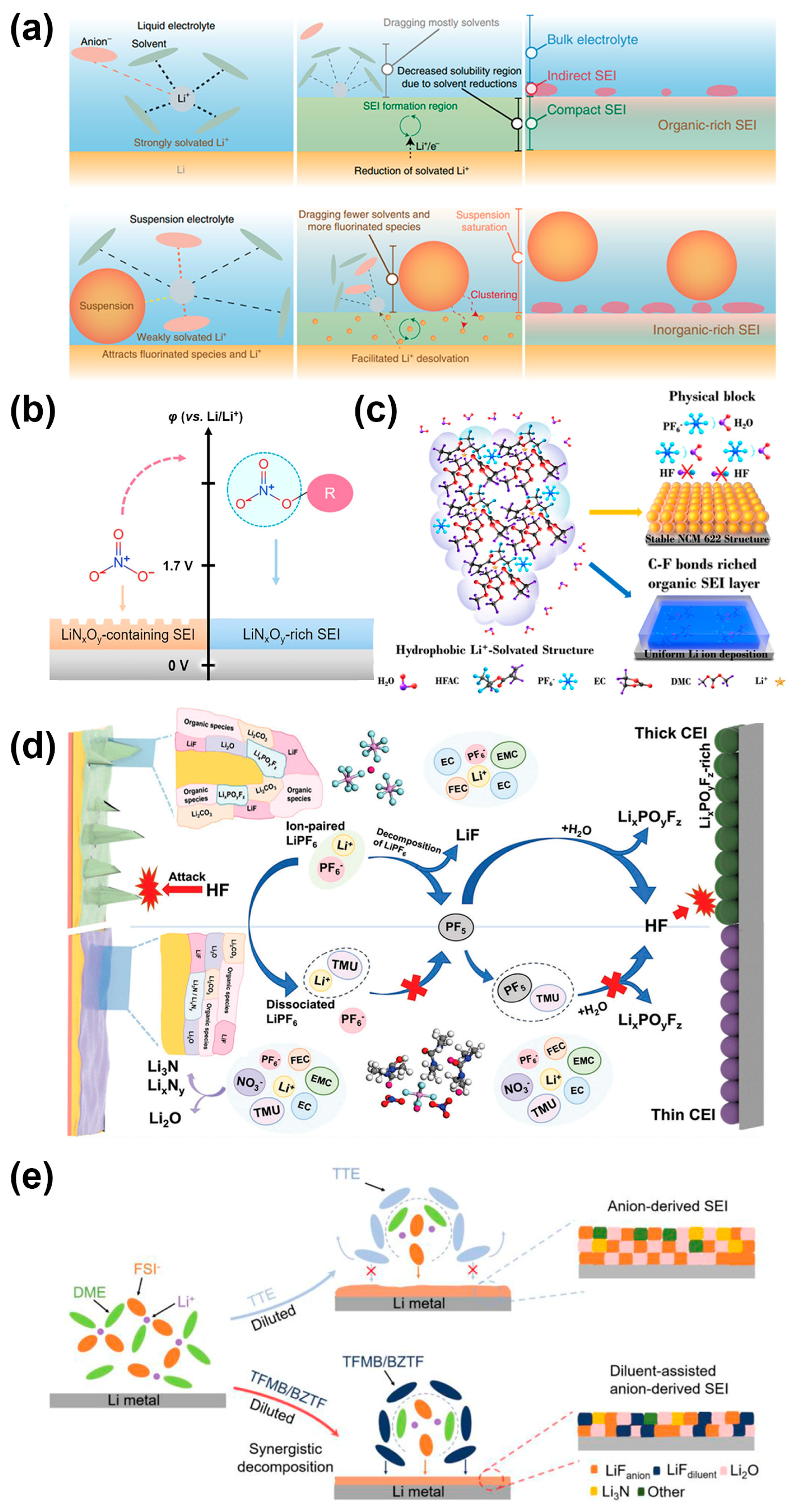 Molecules 29 03624 g005