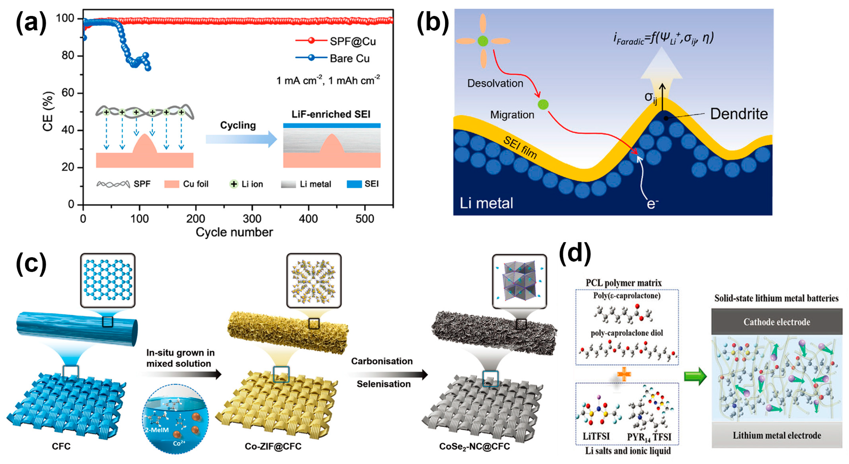 Molecules 29 03624 g007