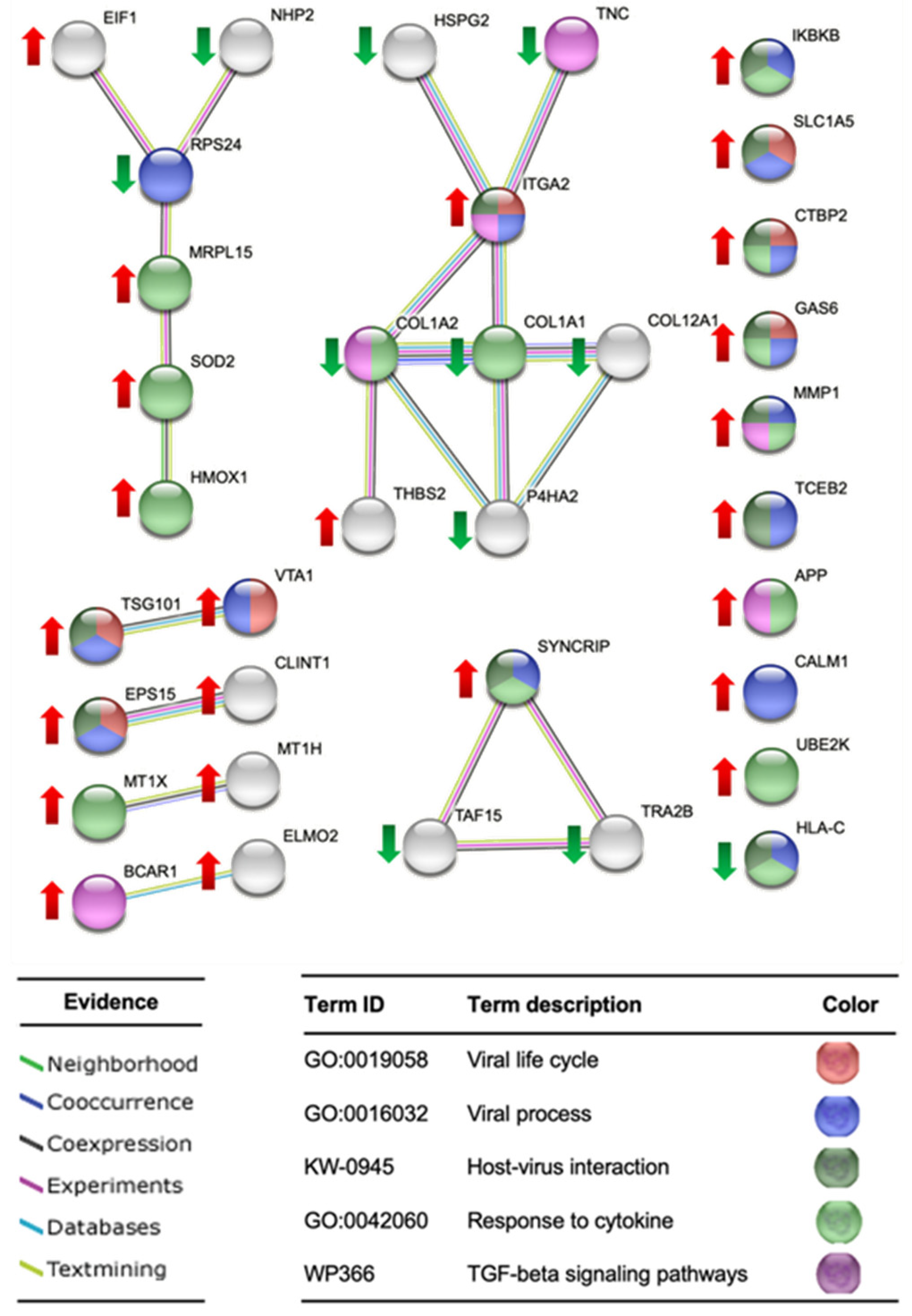 Molecules 29 03628 g008