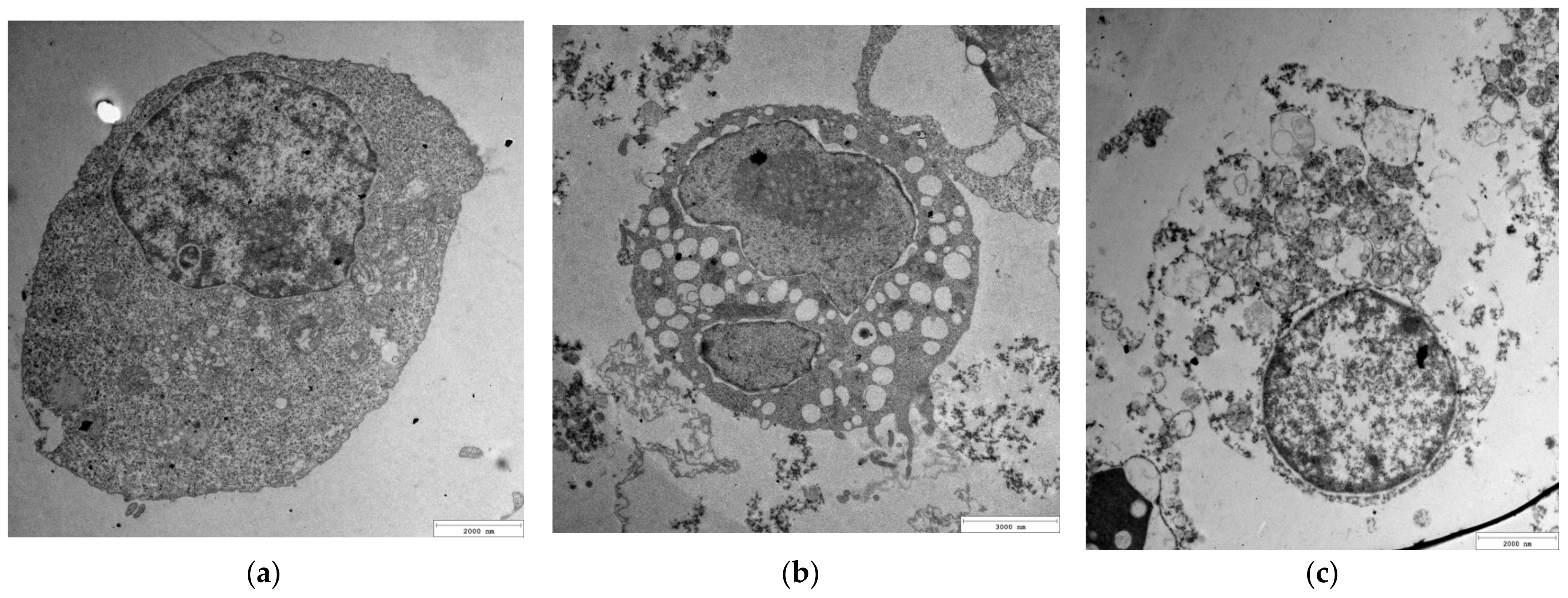 Molecules 29 03629 g005