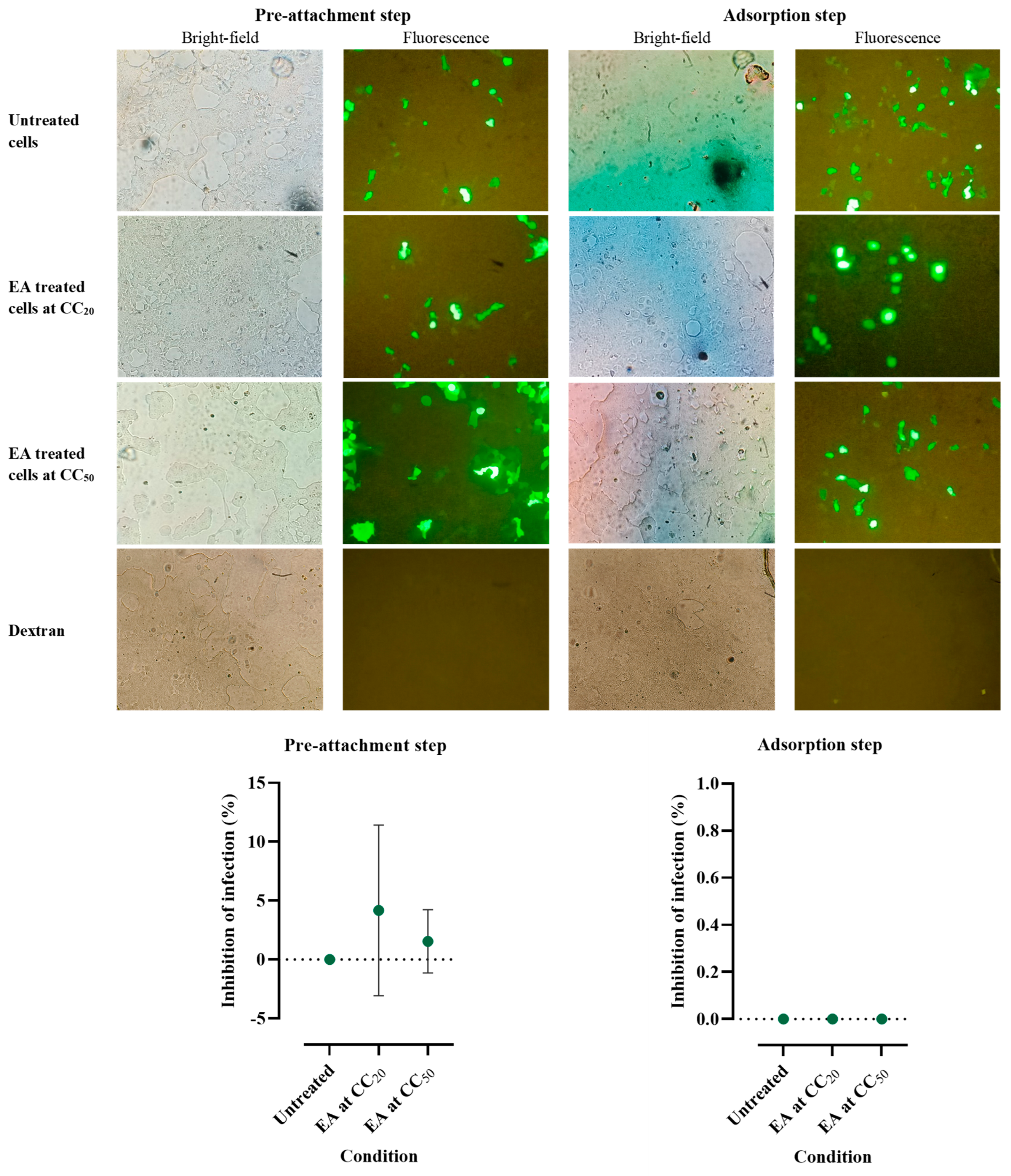 Molecules 29 03630 g004
