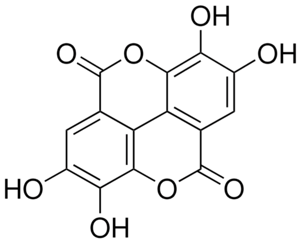 Molecules 29 03630 g005