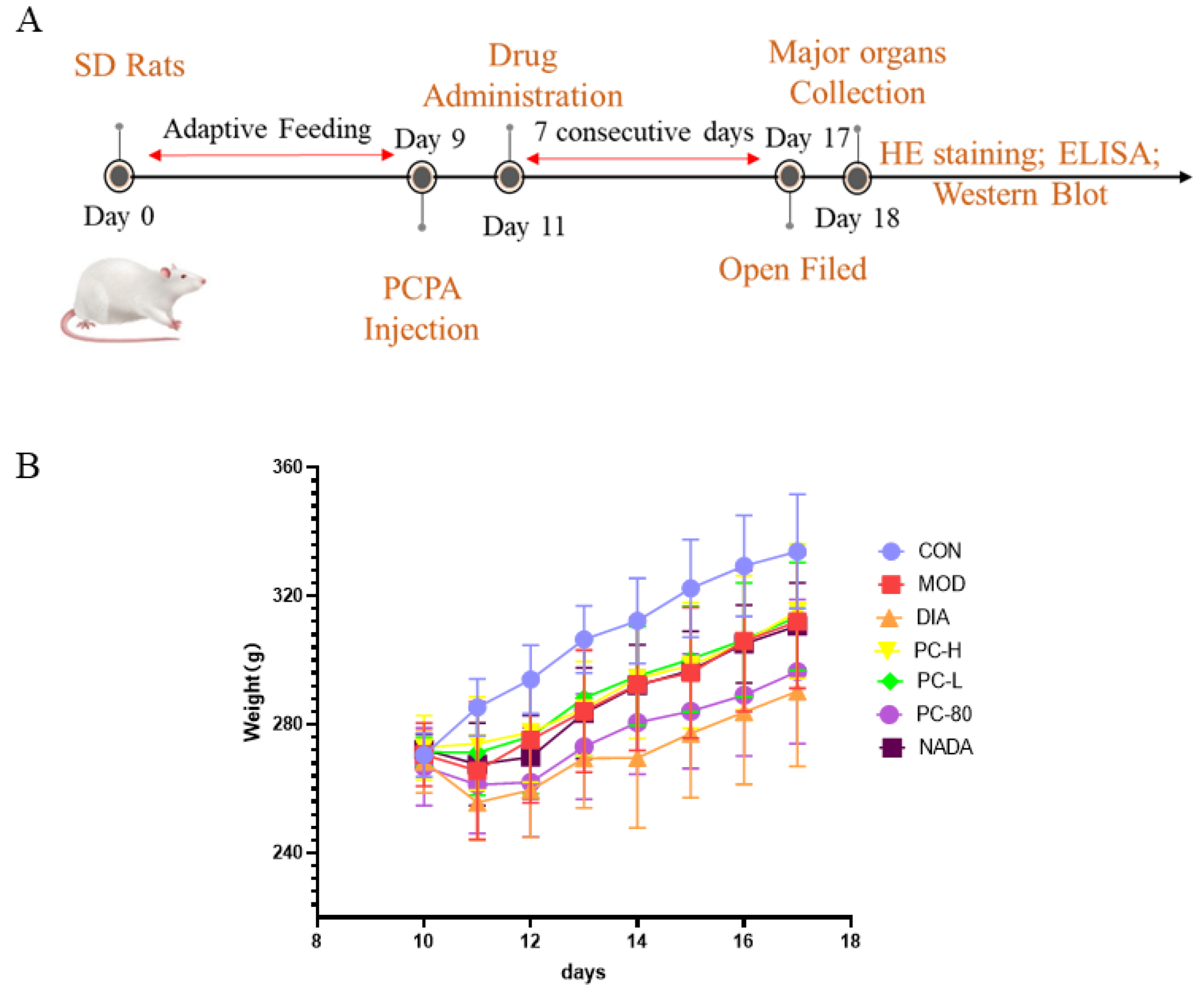 Molecules 29 03638 g002