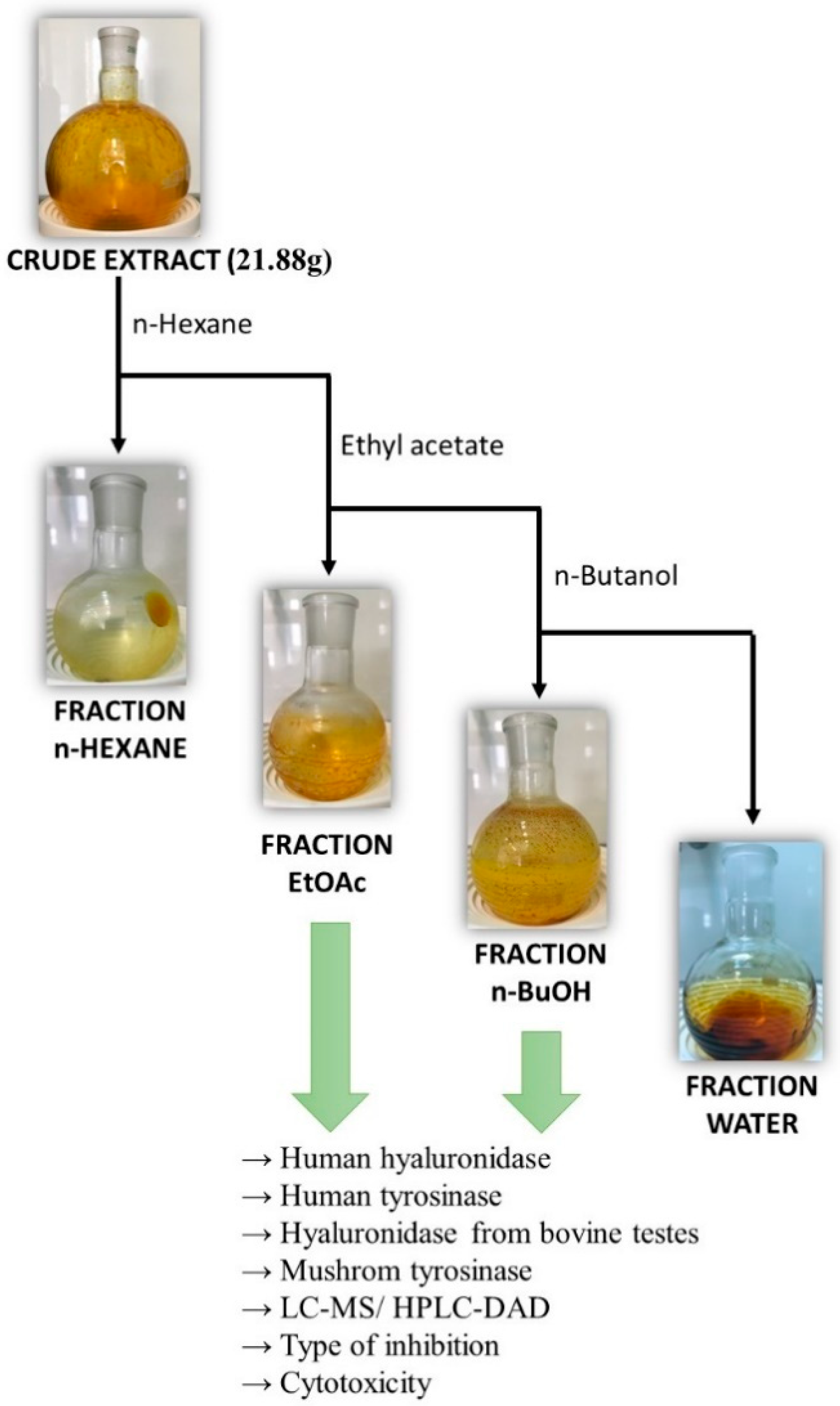 Molecules 29 03640 g006