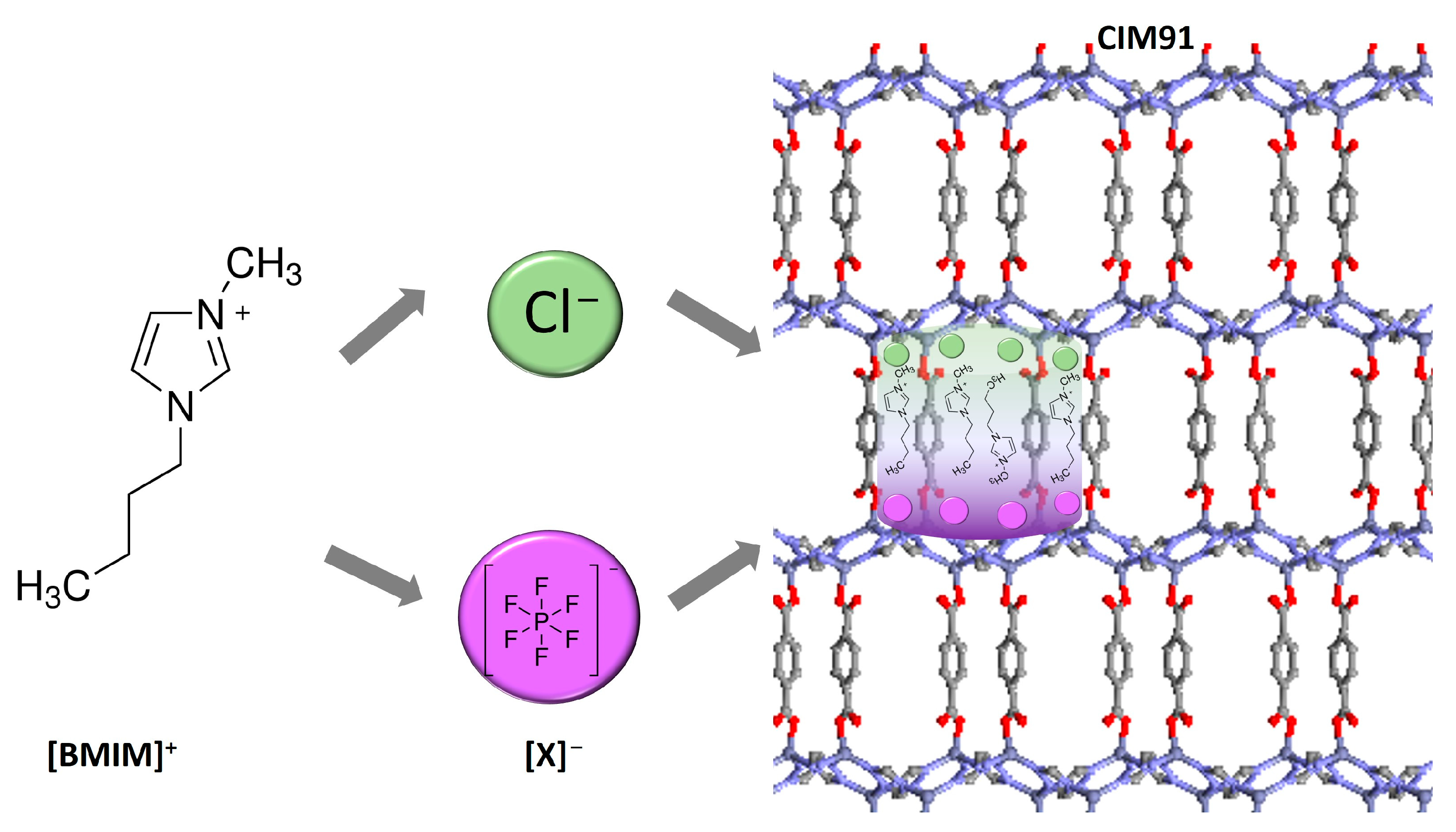 Molecules 29 03644 g001