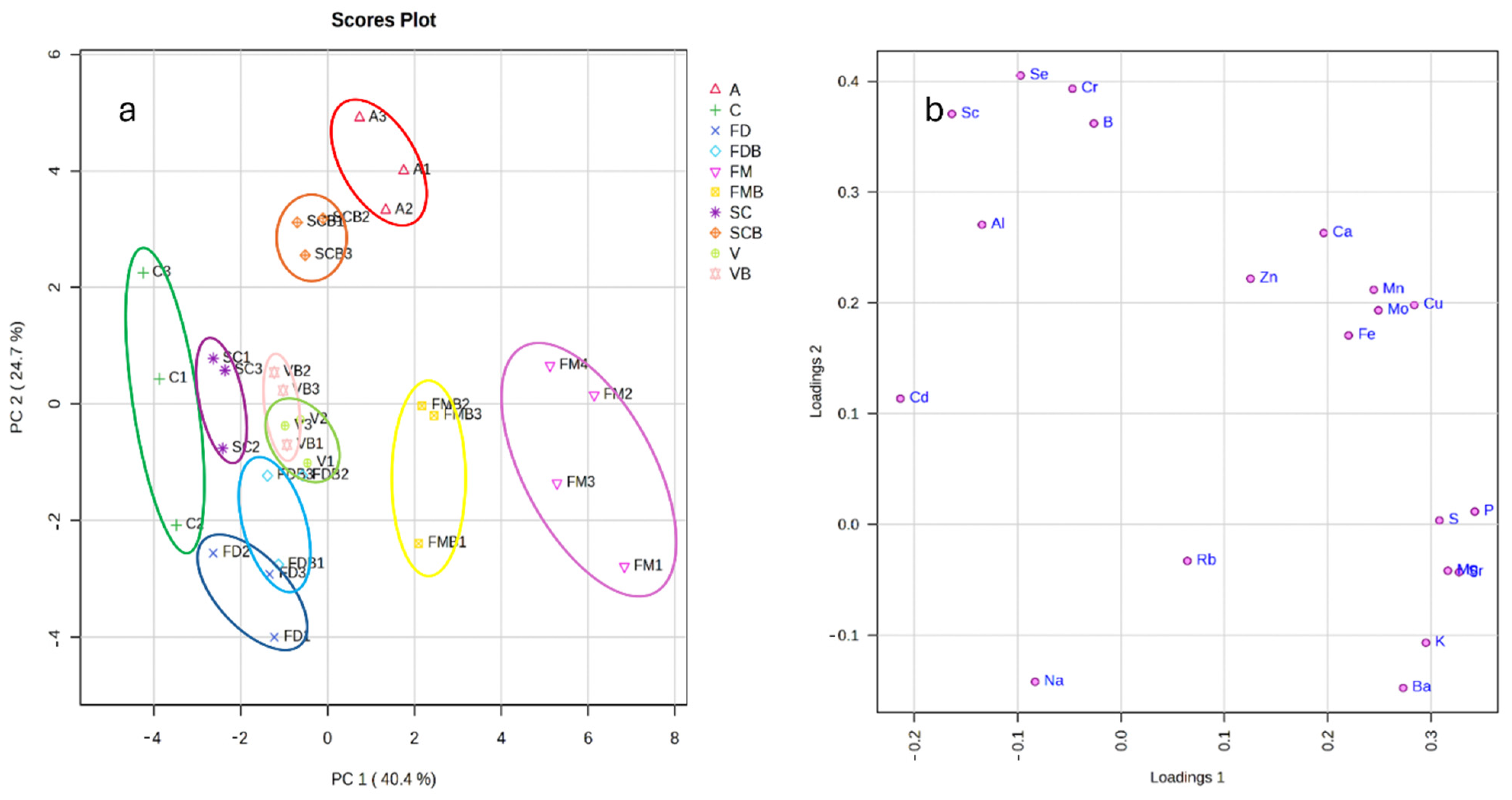 Molecules 29 03645 g004