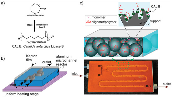 Kinetic Aspects of Esterification and Transesterification in