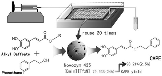 Kinetic Aspects of Esterification and Transesterification in
