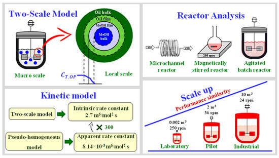 Kinetic Aspects of Esterification and Transesterification in