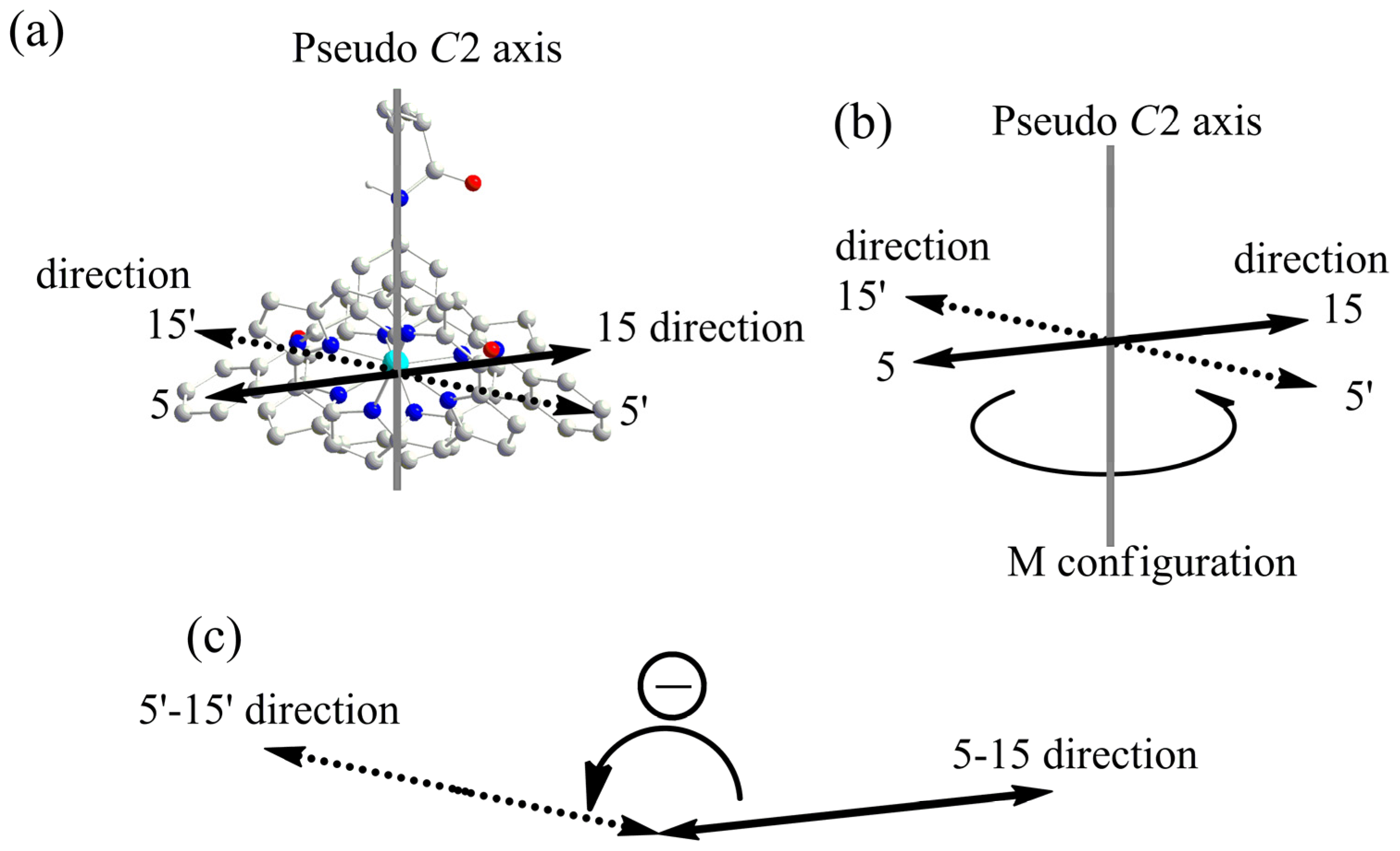 Molecules 29 03652 g009