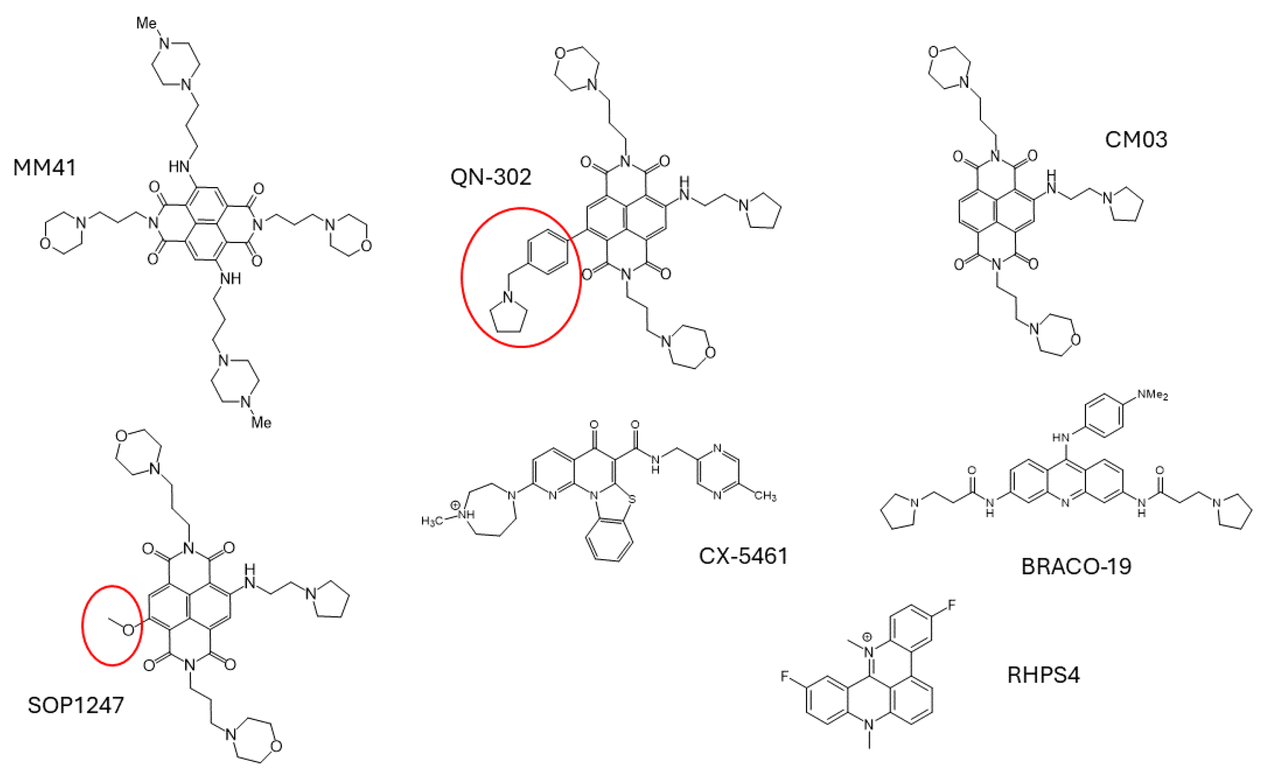 Molecules 29 03653 g001
