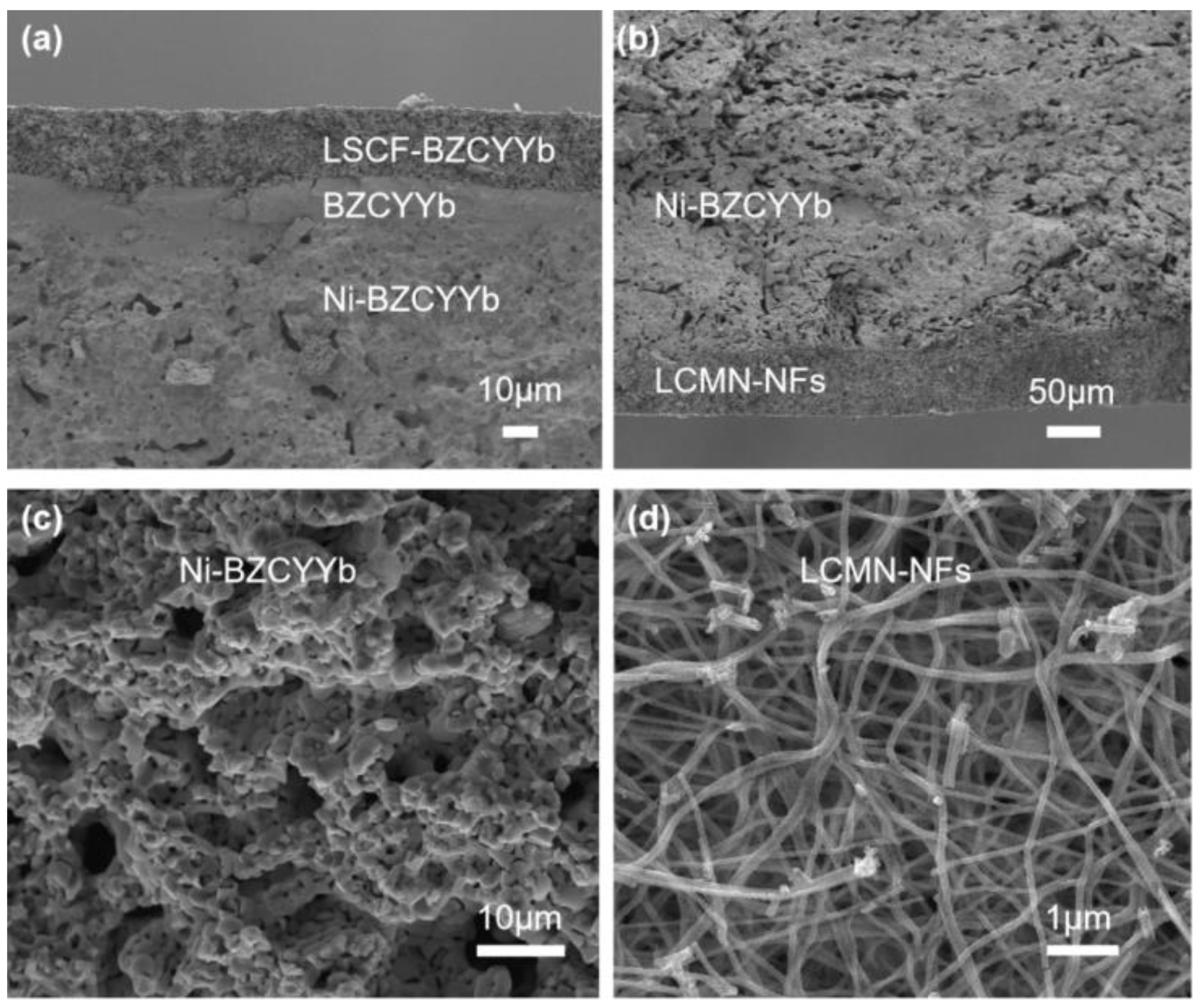 Molecules 29 03654 g003