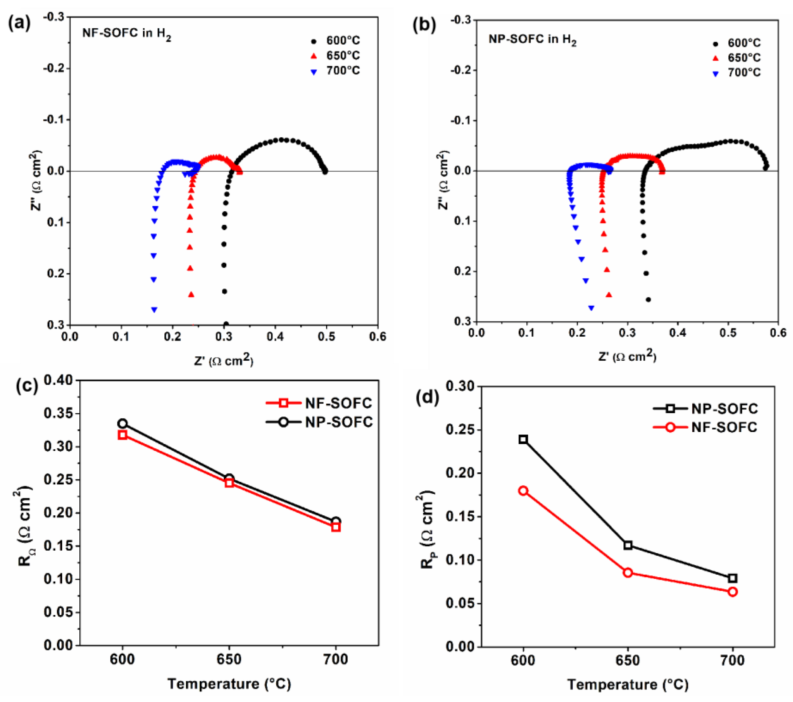 Molecules 29 03654 g004
