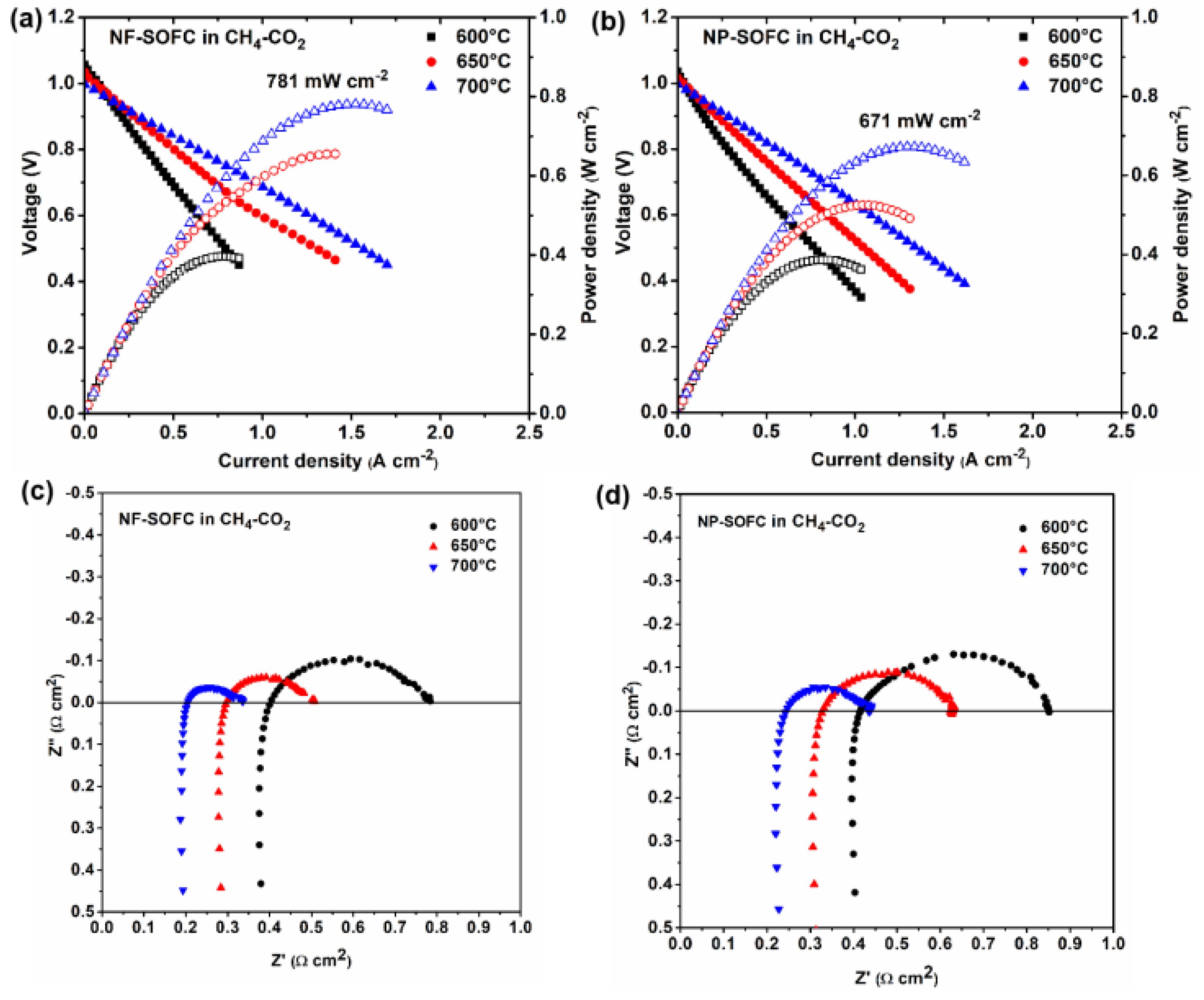 Molecules 29 03654 g005