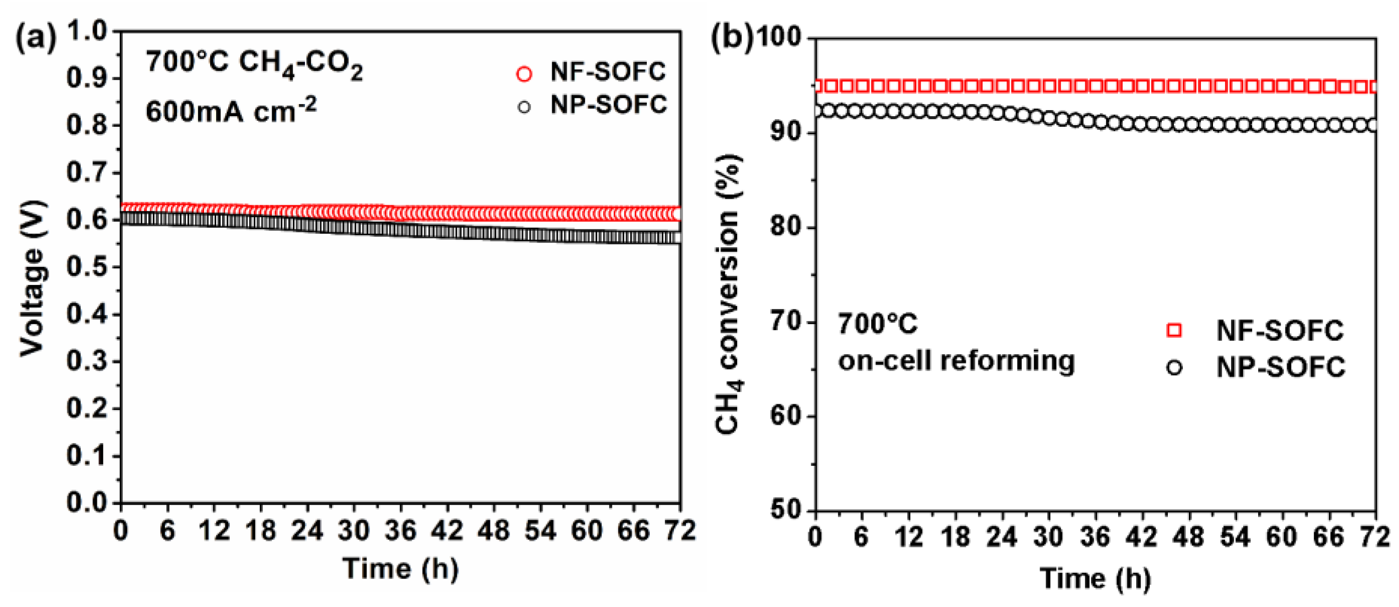 Molecules 29 03654 g006