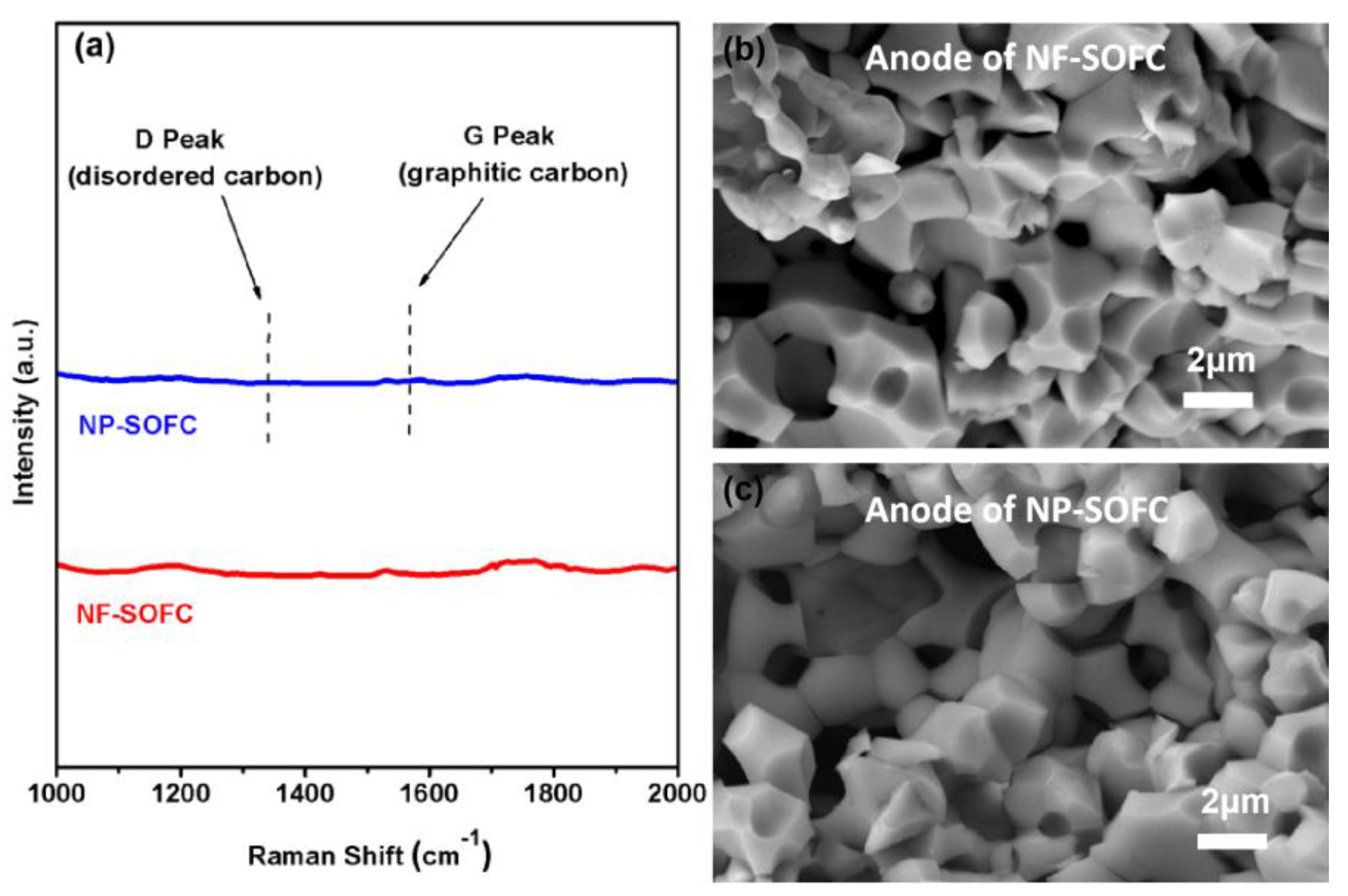 Molecules 29 03654 g007