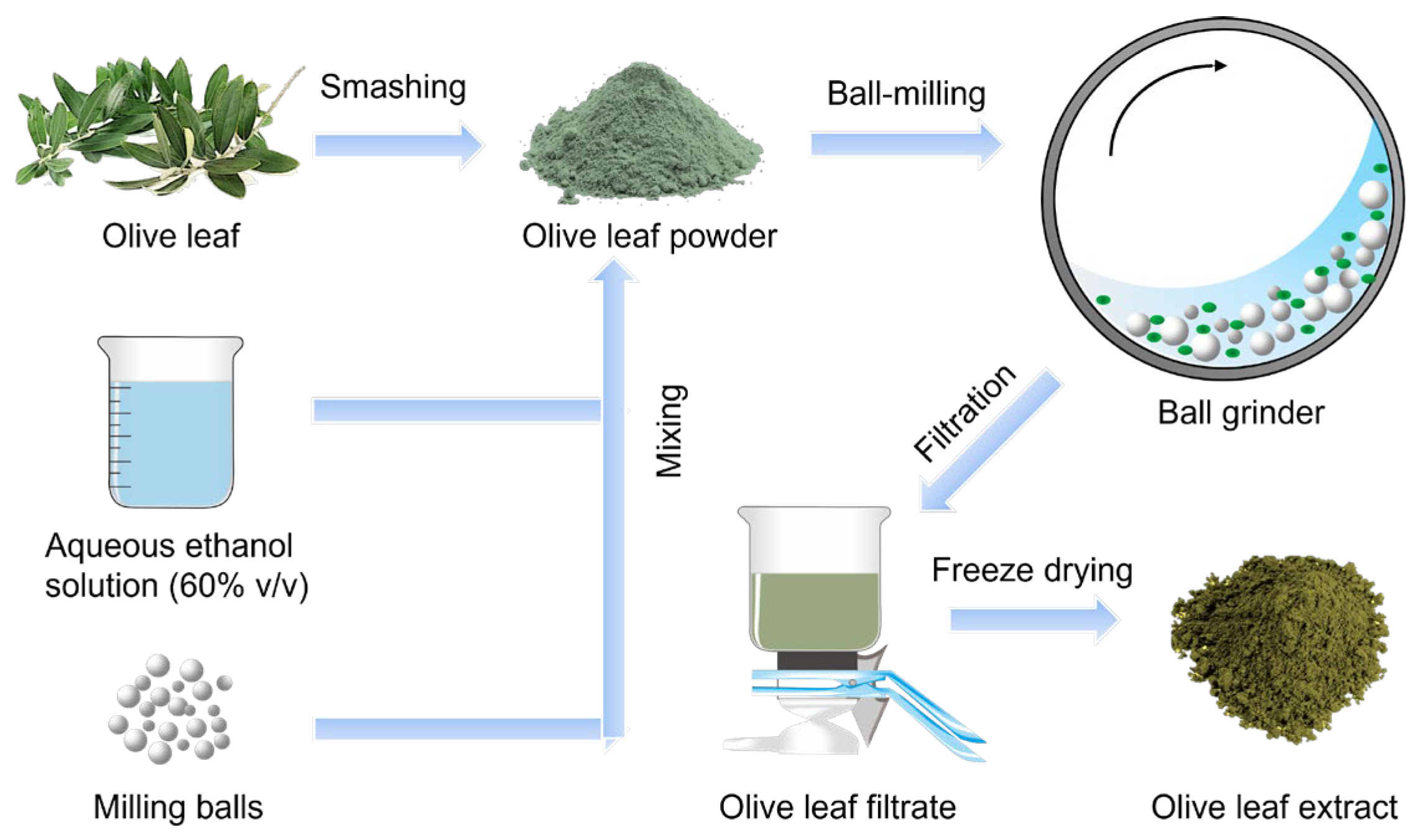 Molecules 29 03658 g007