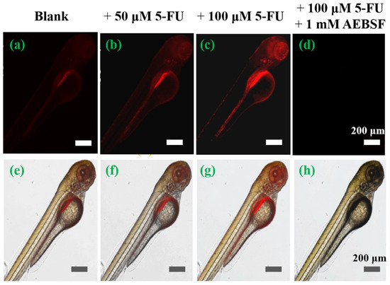 An Innovative Aggregation-Induced Emission-Based NIR
