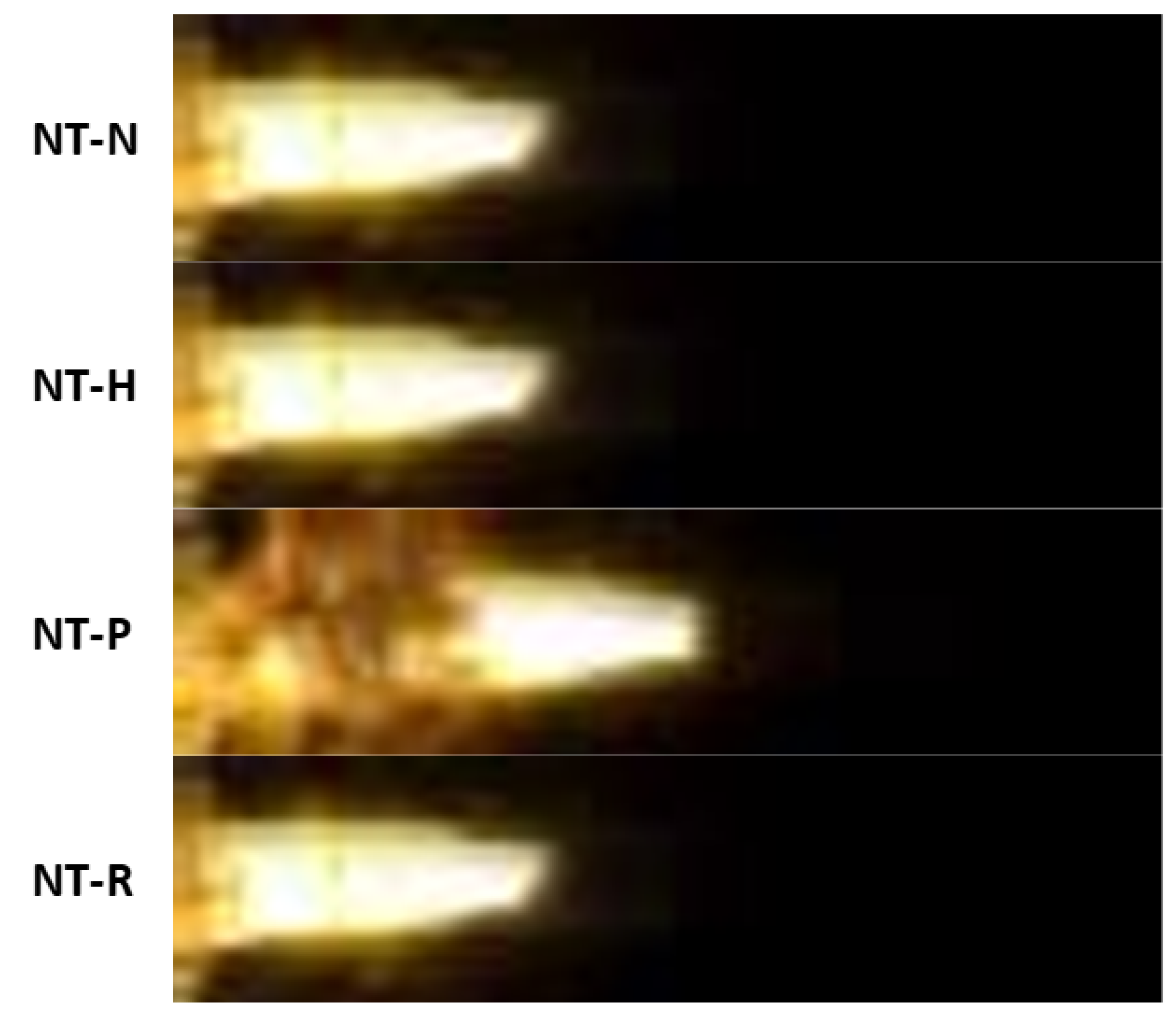 Molecules 29 03664 g006