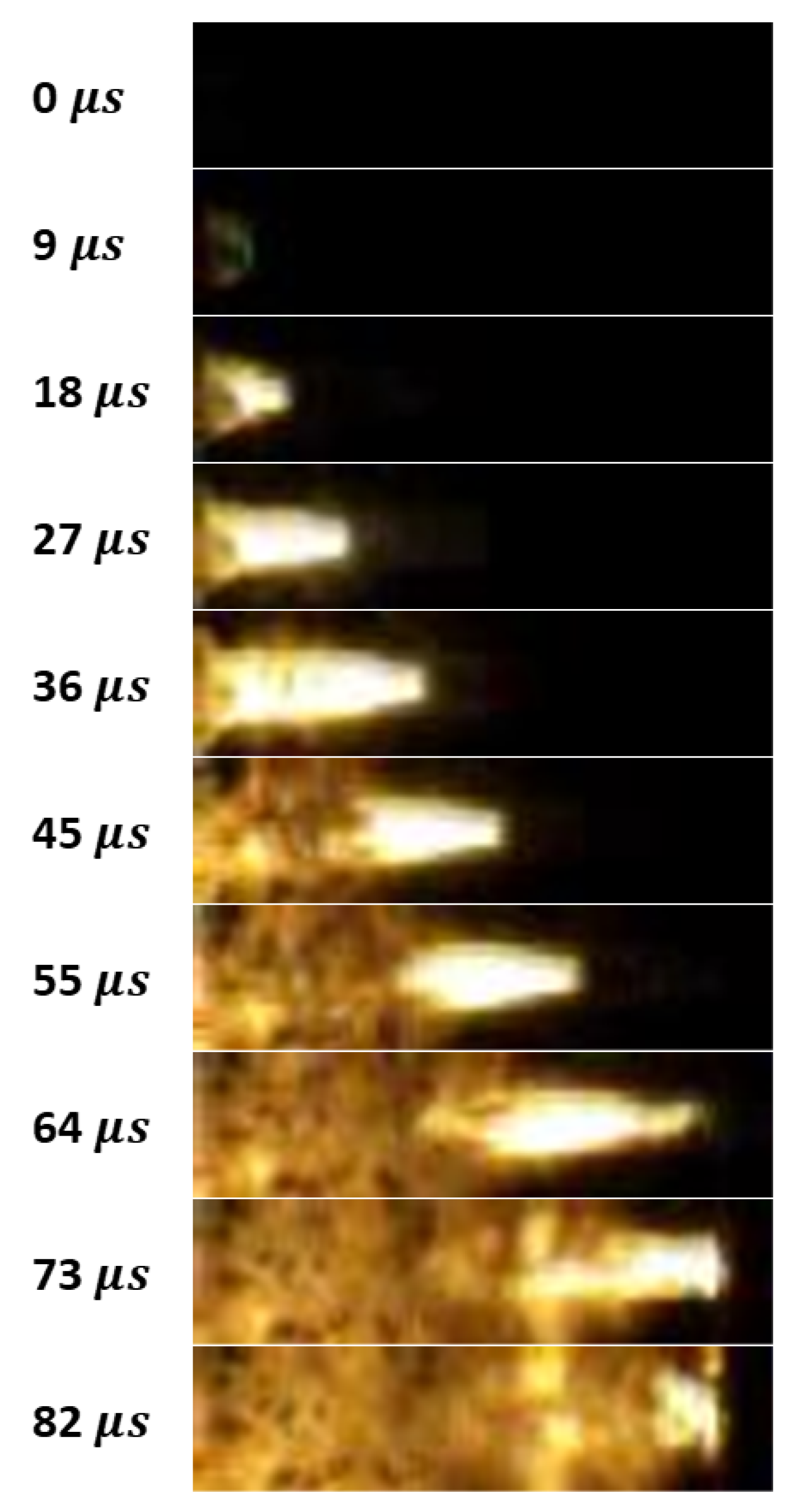 Molecules 29 03664 g009