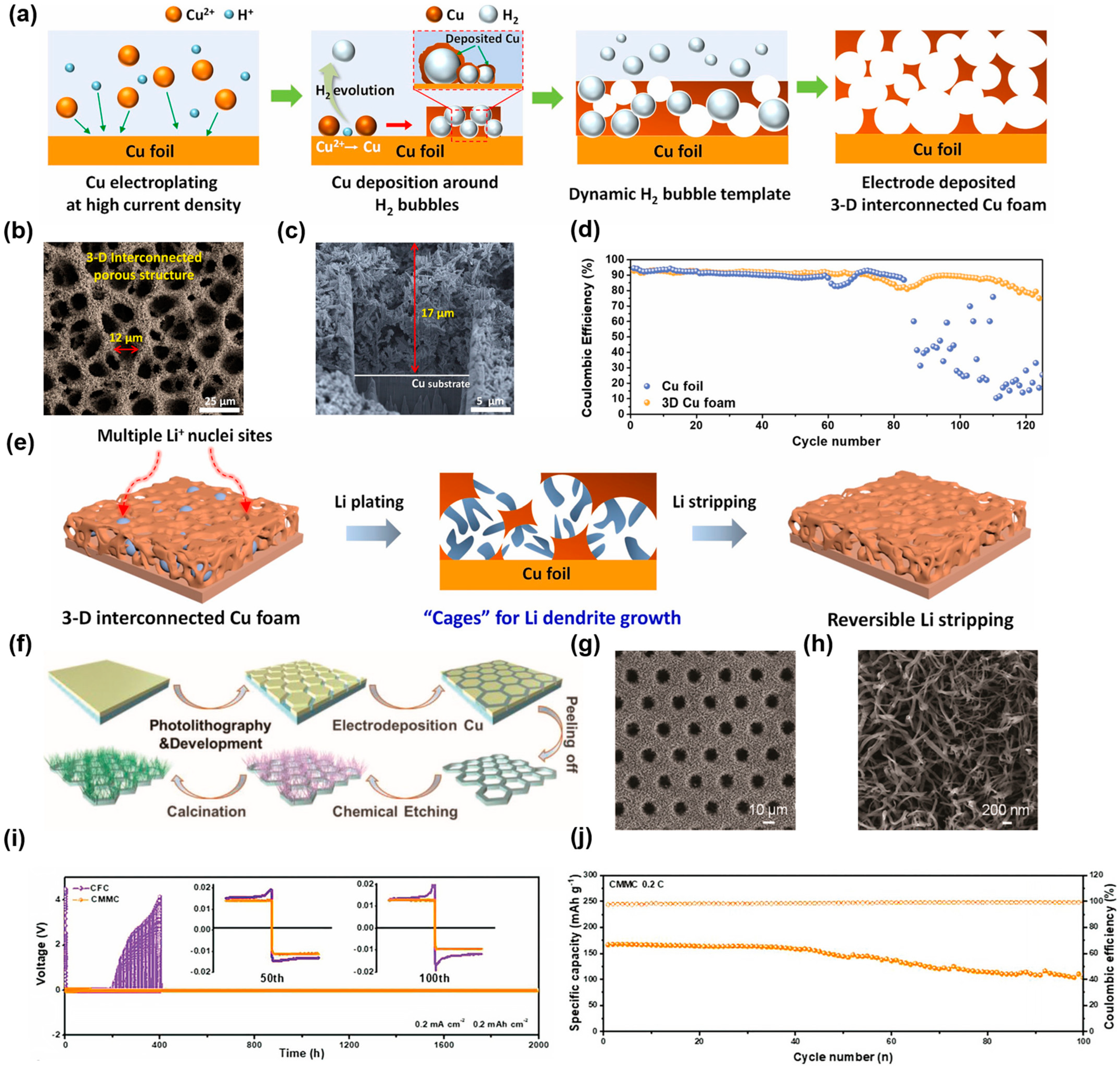 Molecules 29 03669 g003