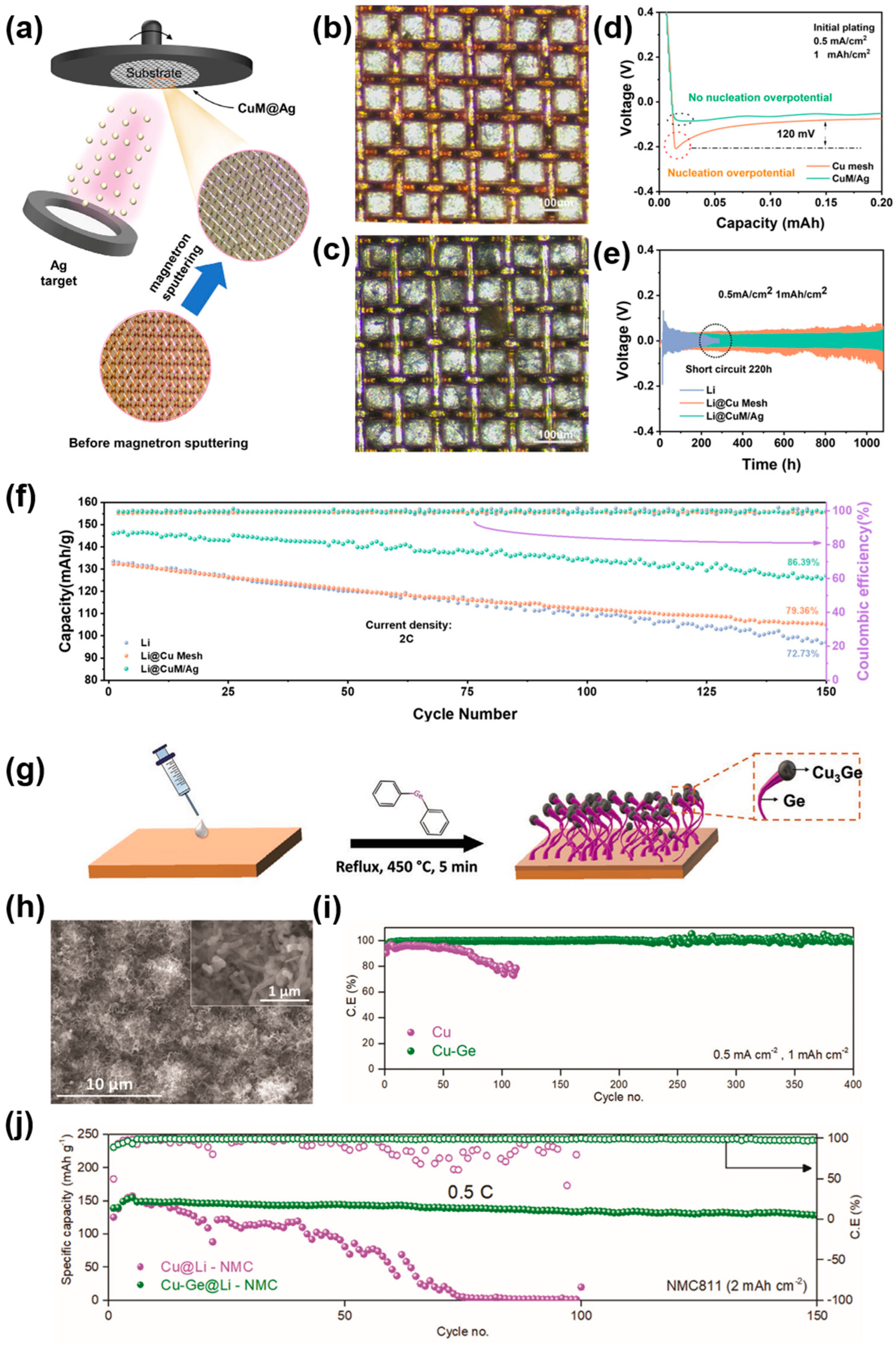 Molecules 29 03669 g004
