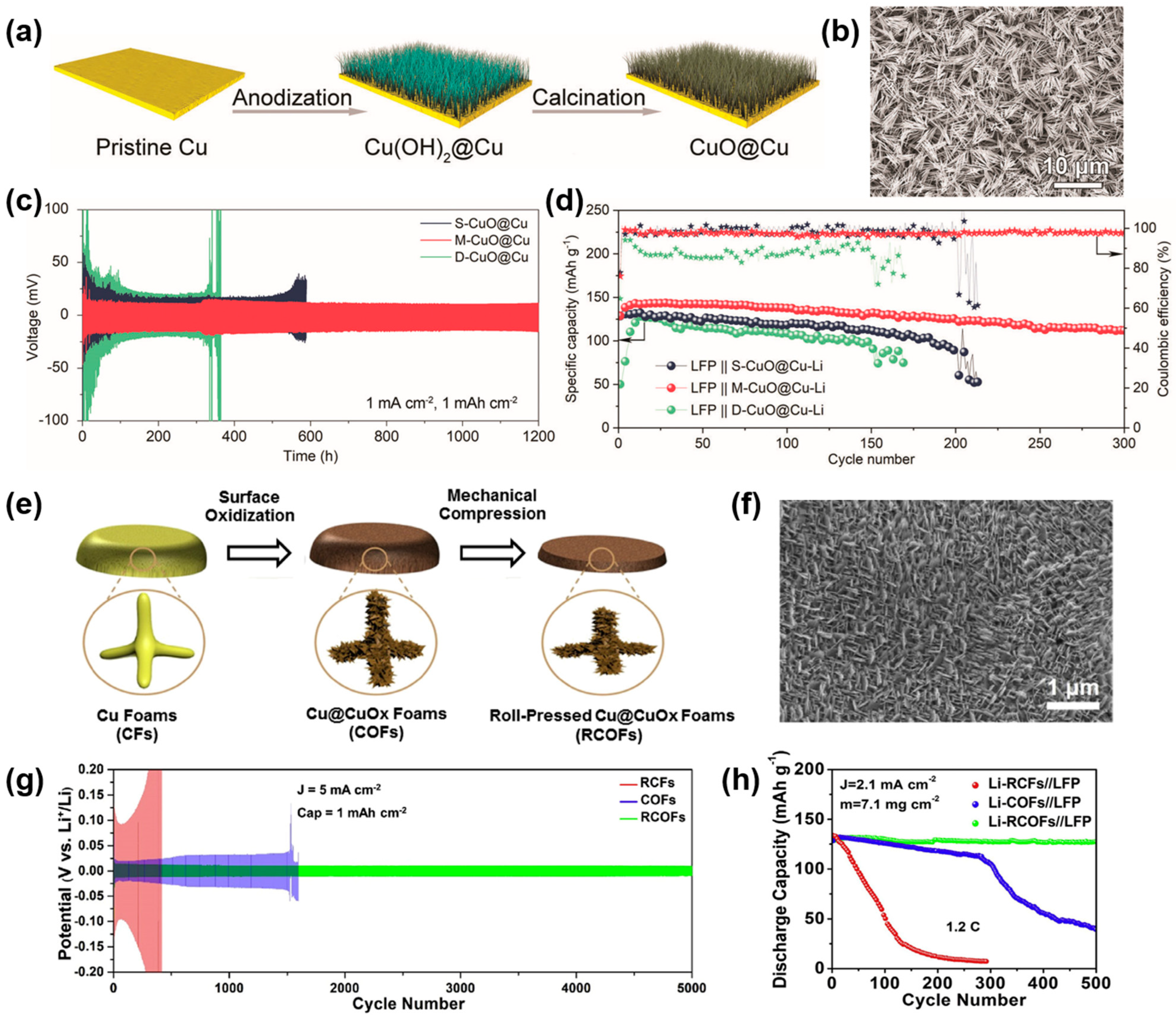 Molecules 29 03669 g005