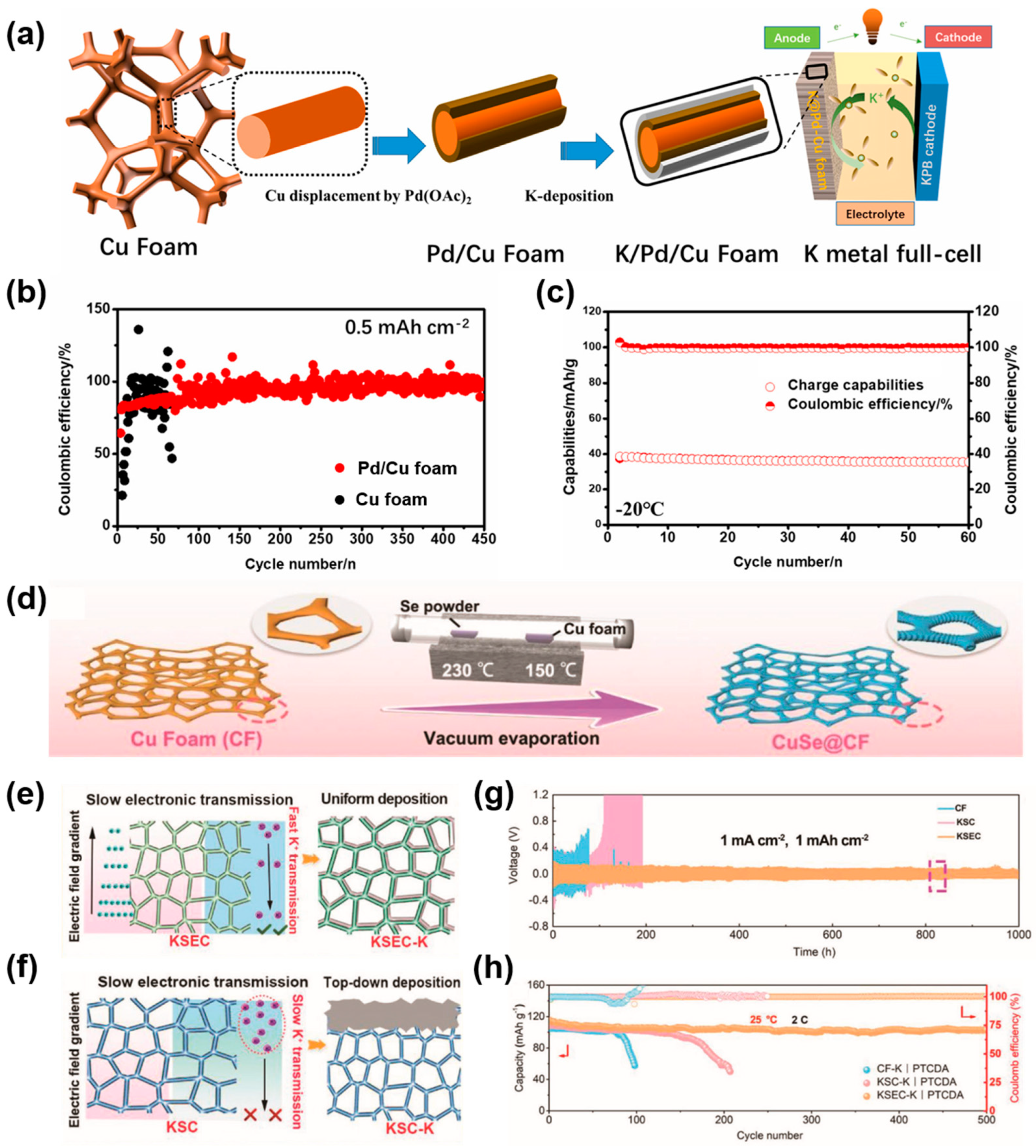 Molecules 29 03669 g008