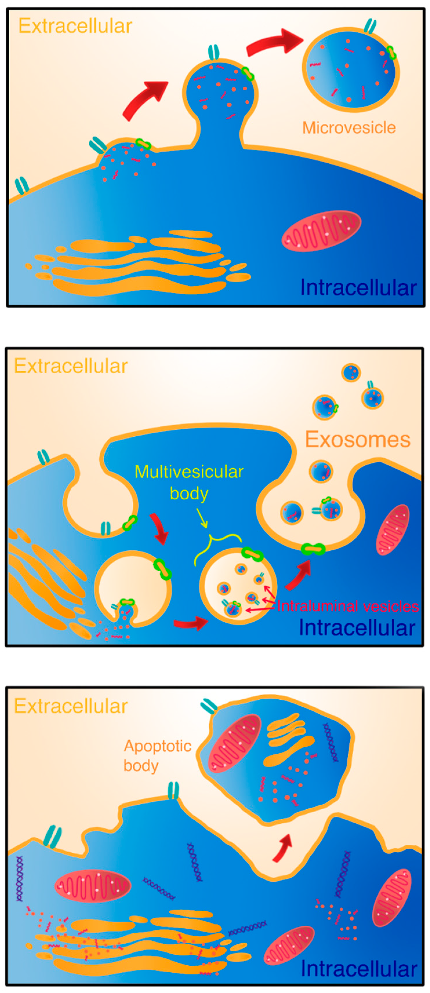 Molecules 29 03681 g001