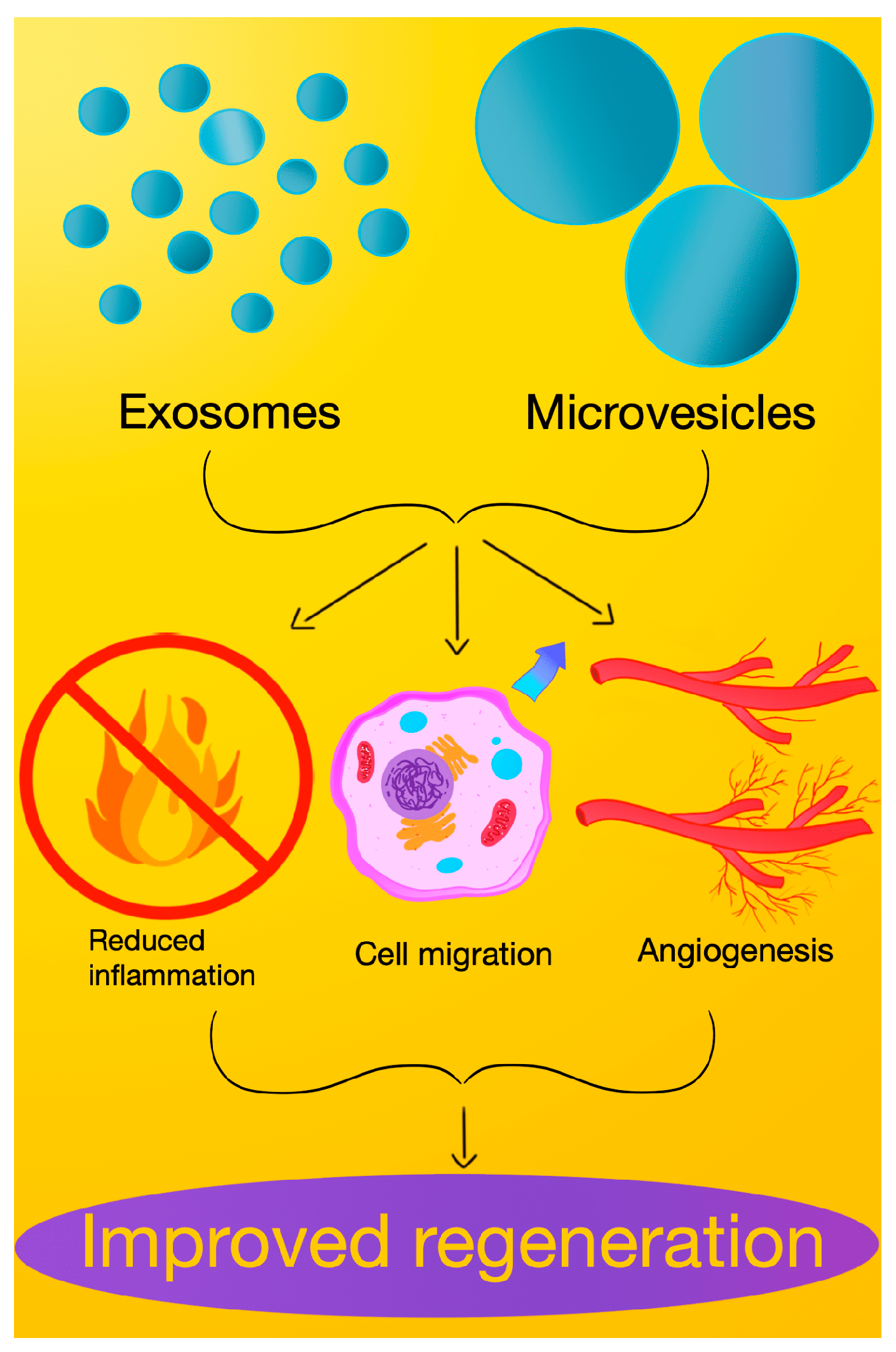 Molecules 29 03681 g002