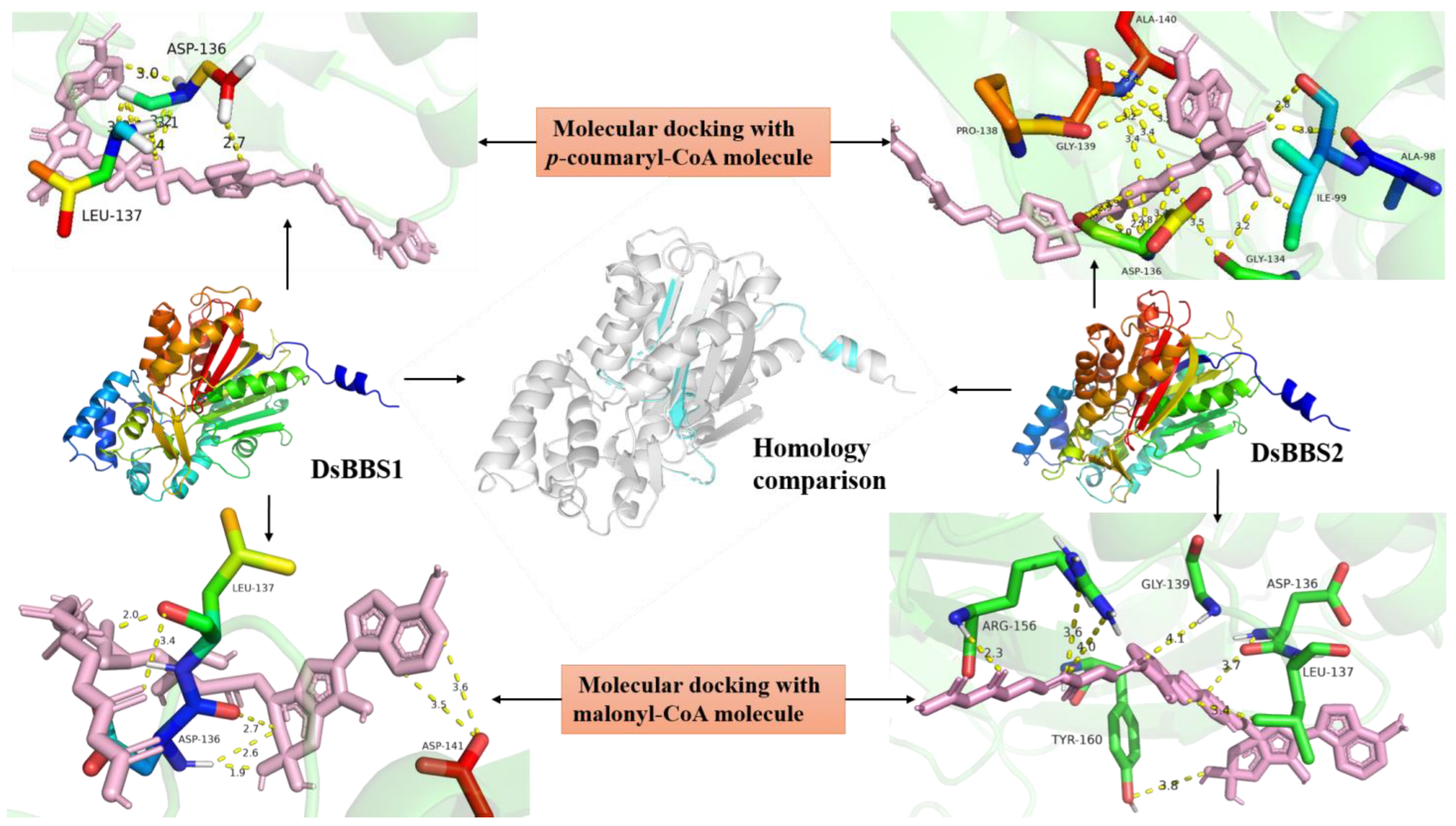 Molecules 29 03682 g001
