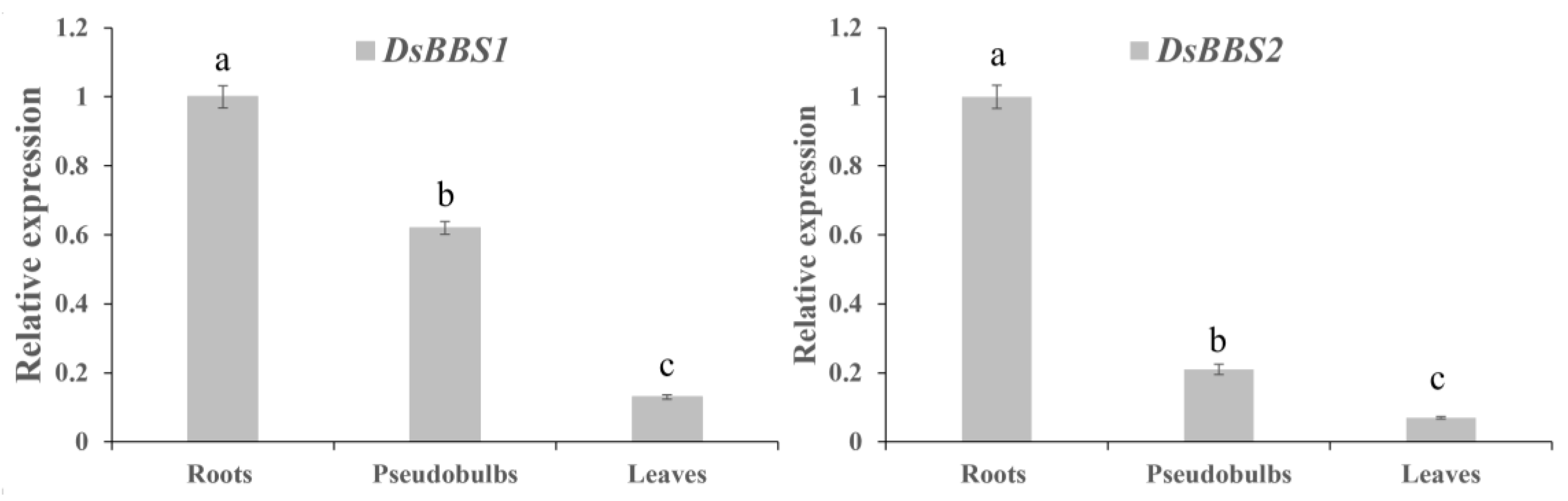 Molecules 29 03682 g002