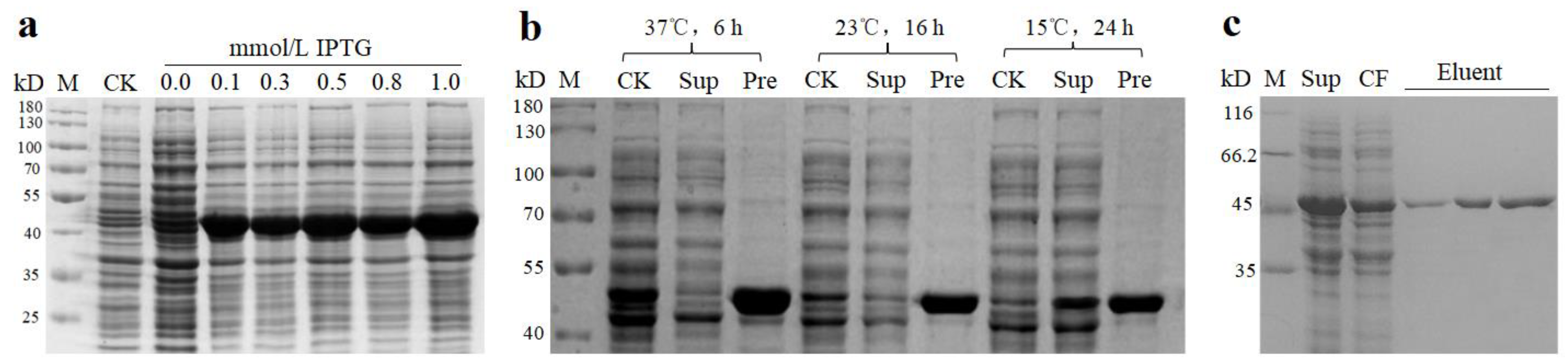 Molecules 29 03682 g003