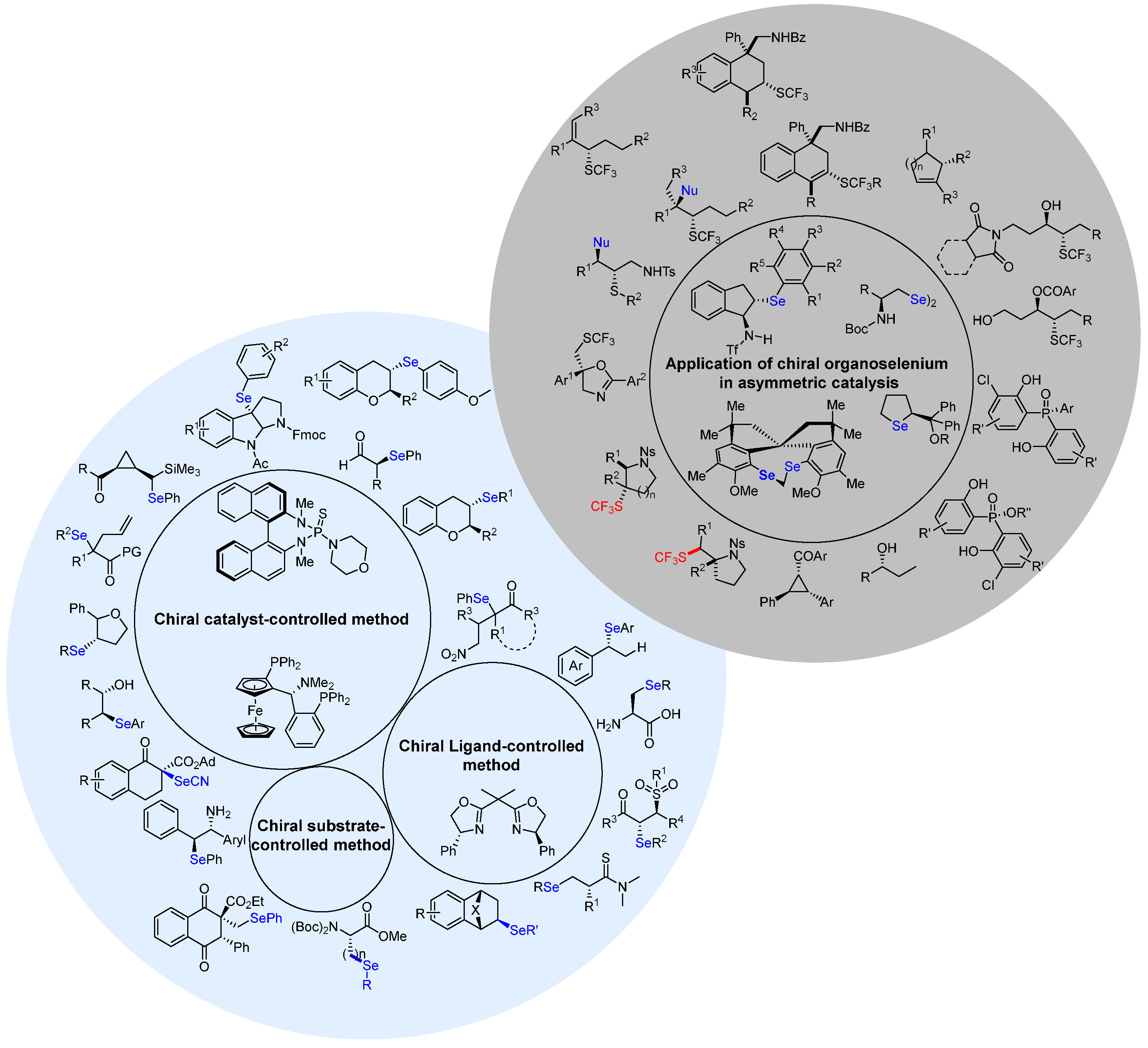 Molecules 29 03685 g003