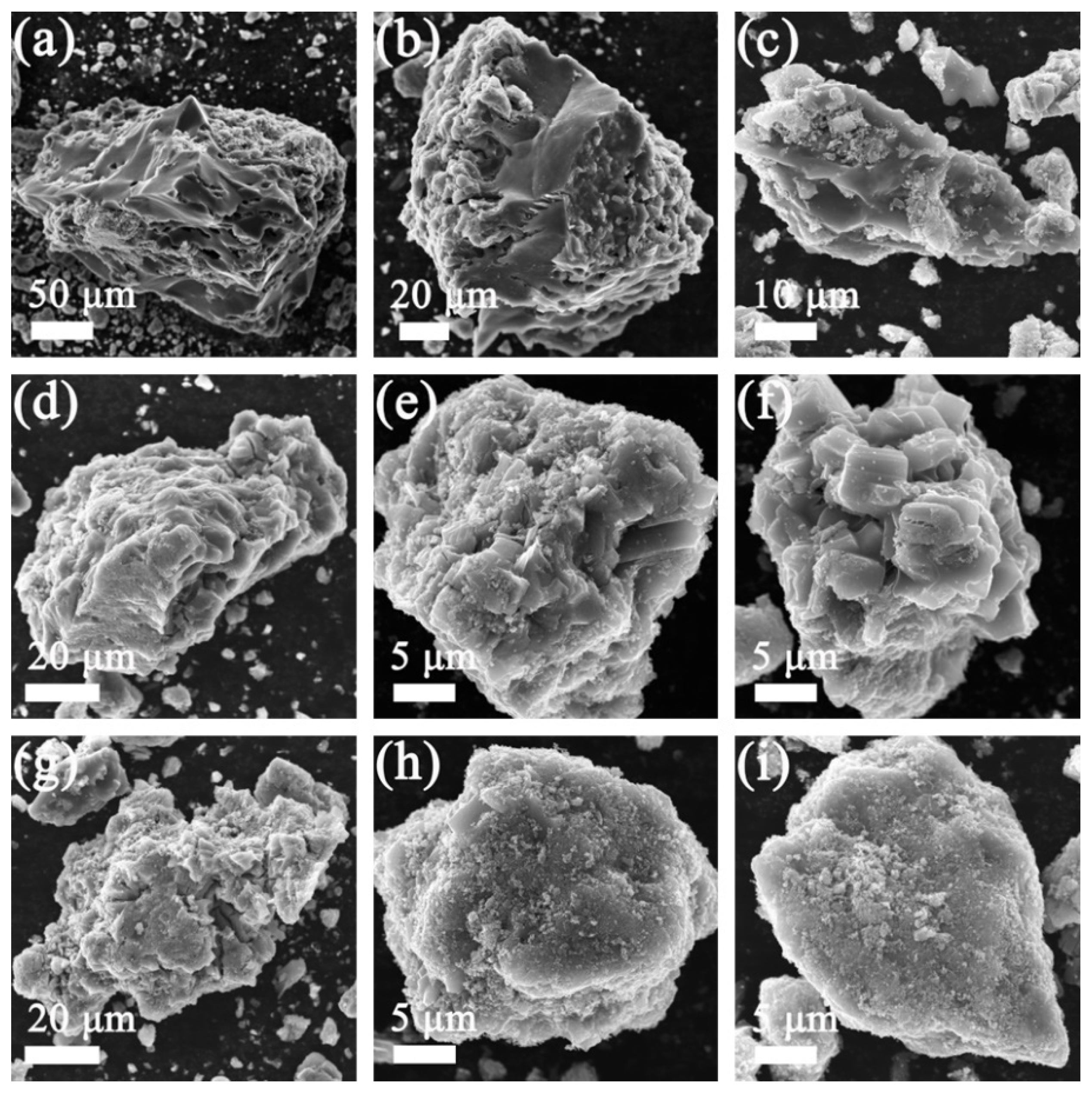 Molecules 29 03688 g004