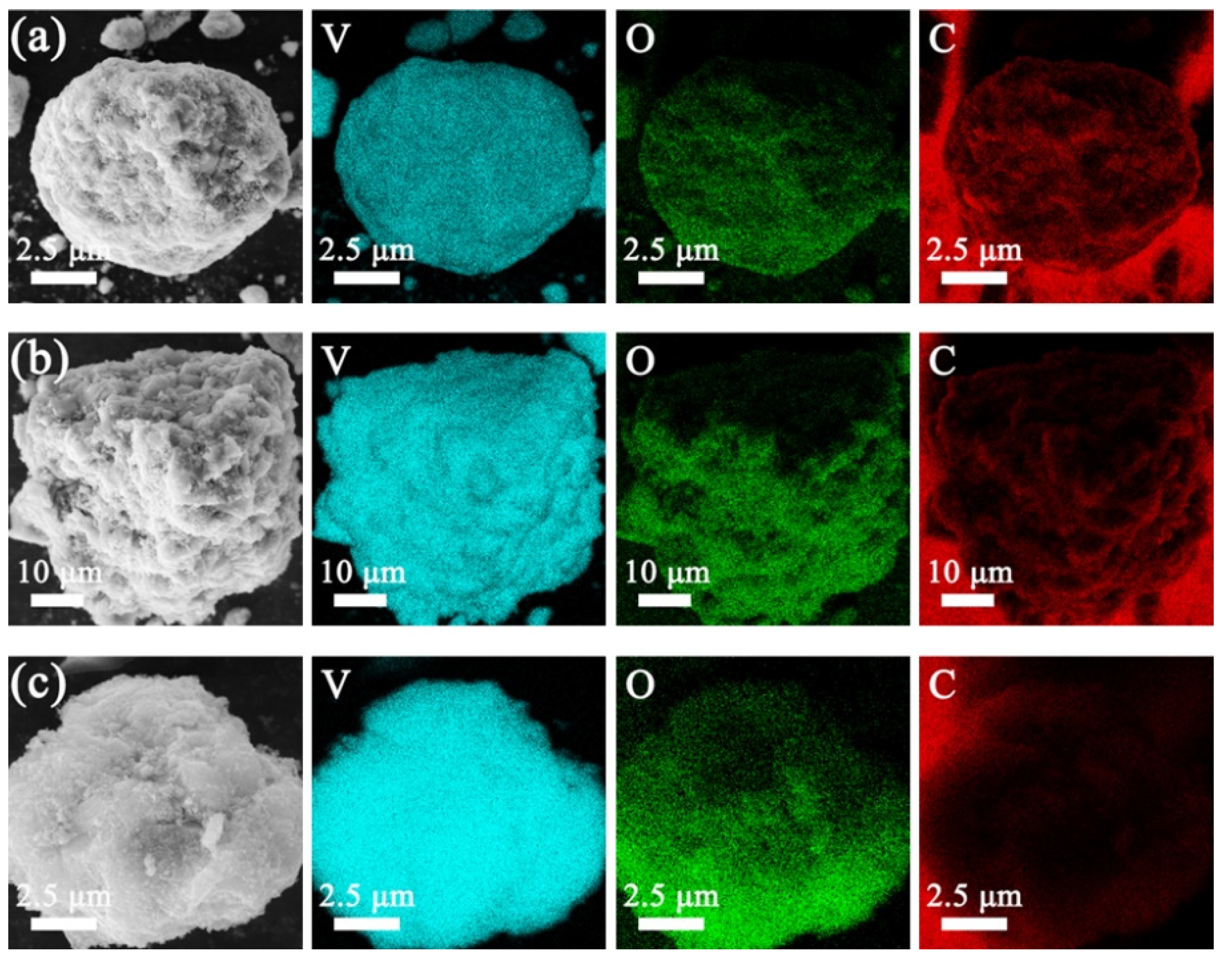 Molecules 29 03688 g005