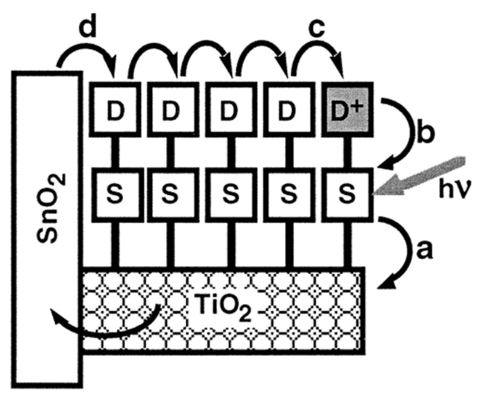 Molecules 29 03691 g016 Molecules 29 03691 g016