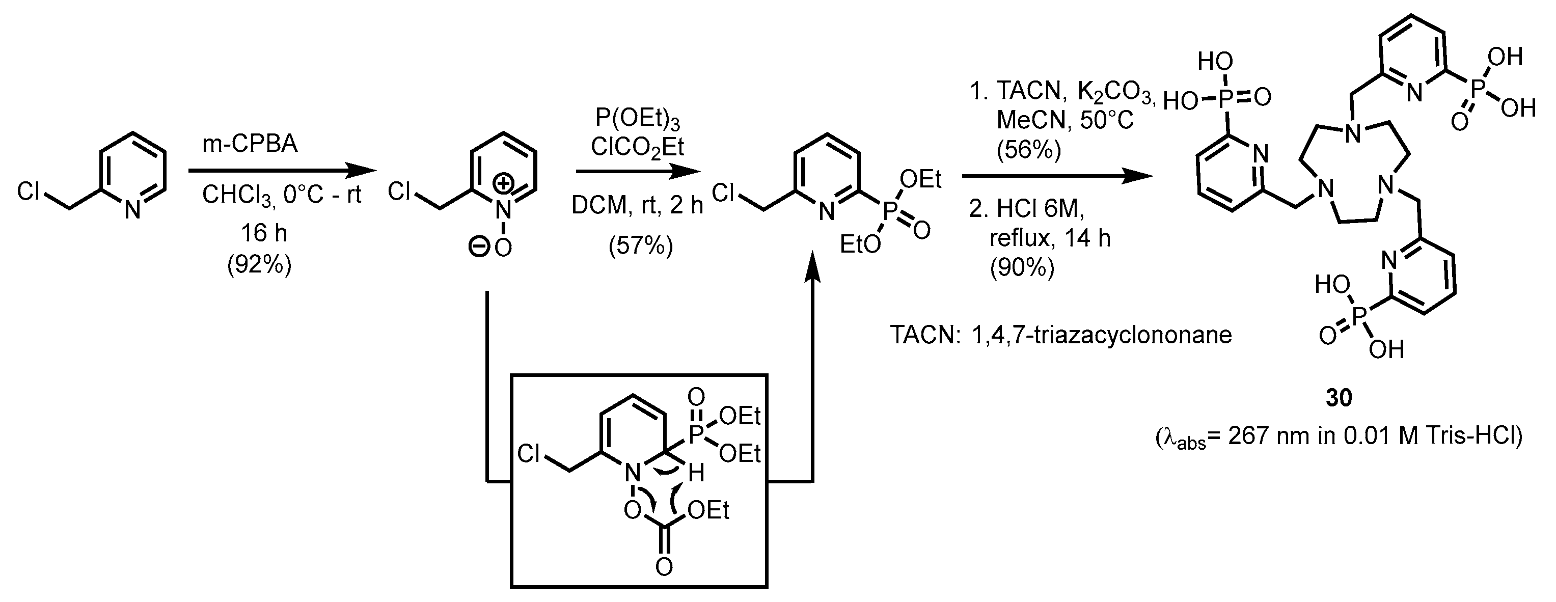 Molecules 29 03691 sch005 Molecules 29 03691 sch005