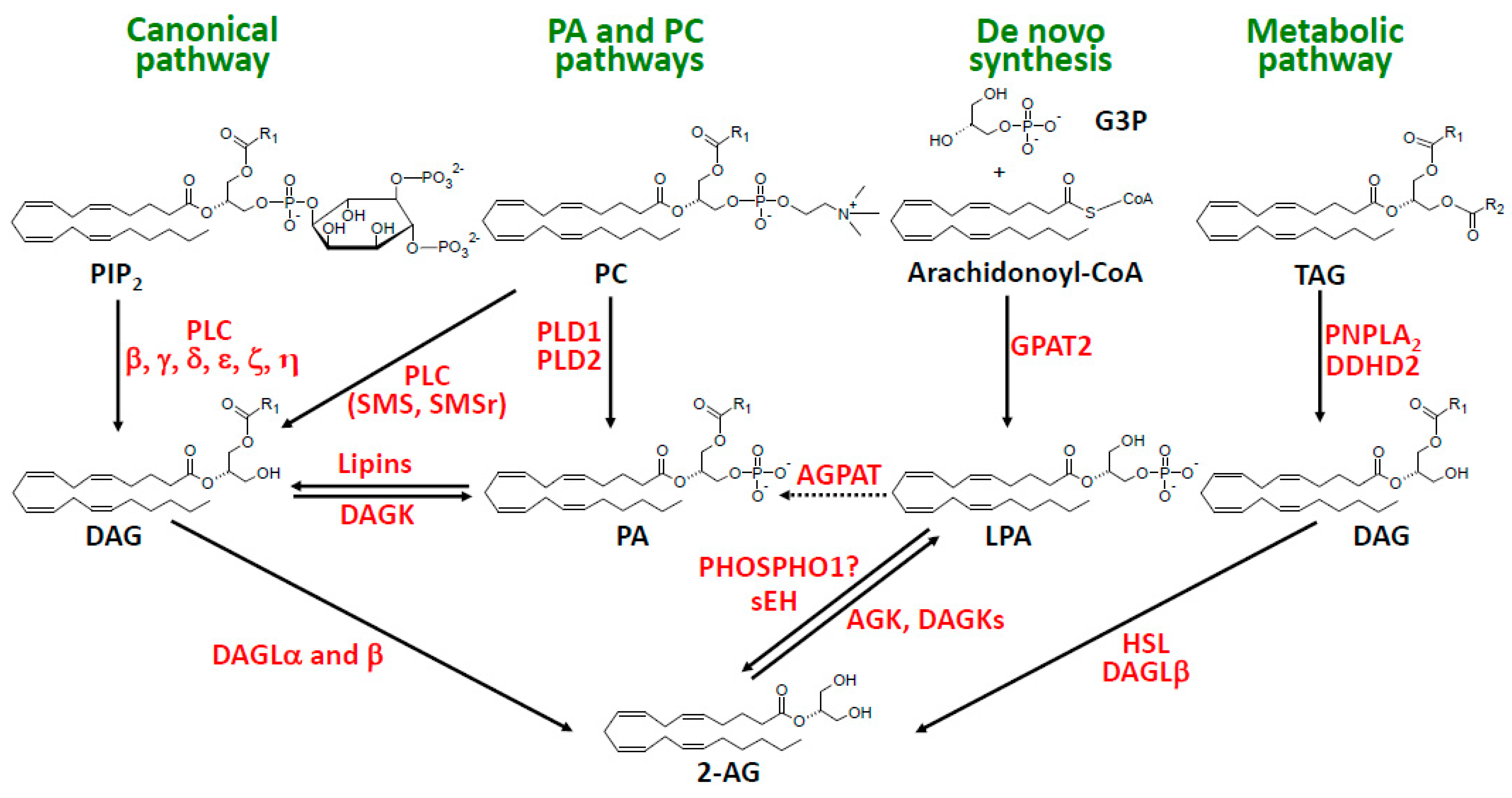 Molecules 29 03694 g002