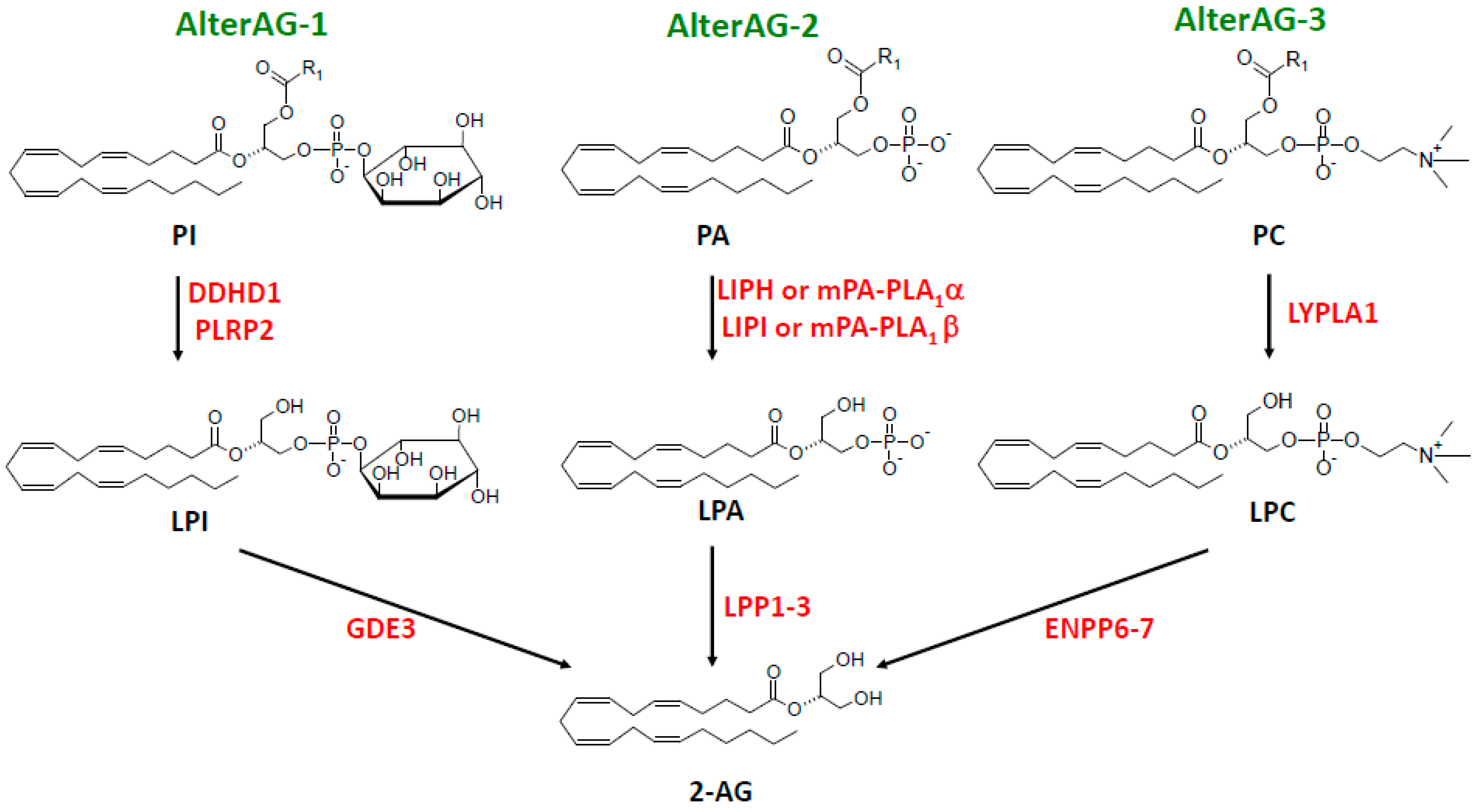 Molecules 29 03694 g003