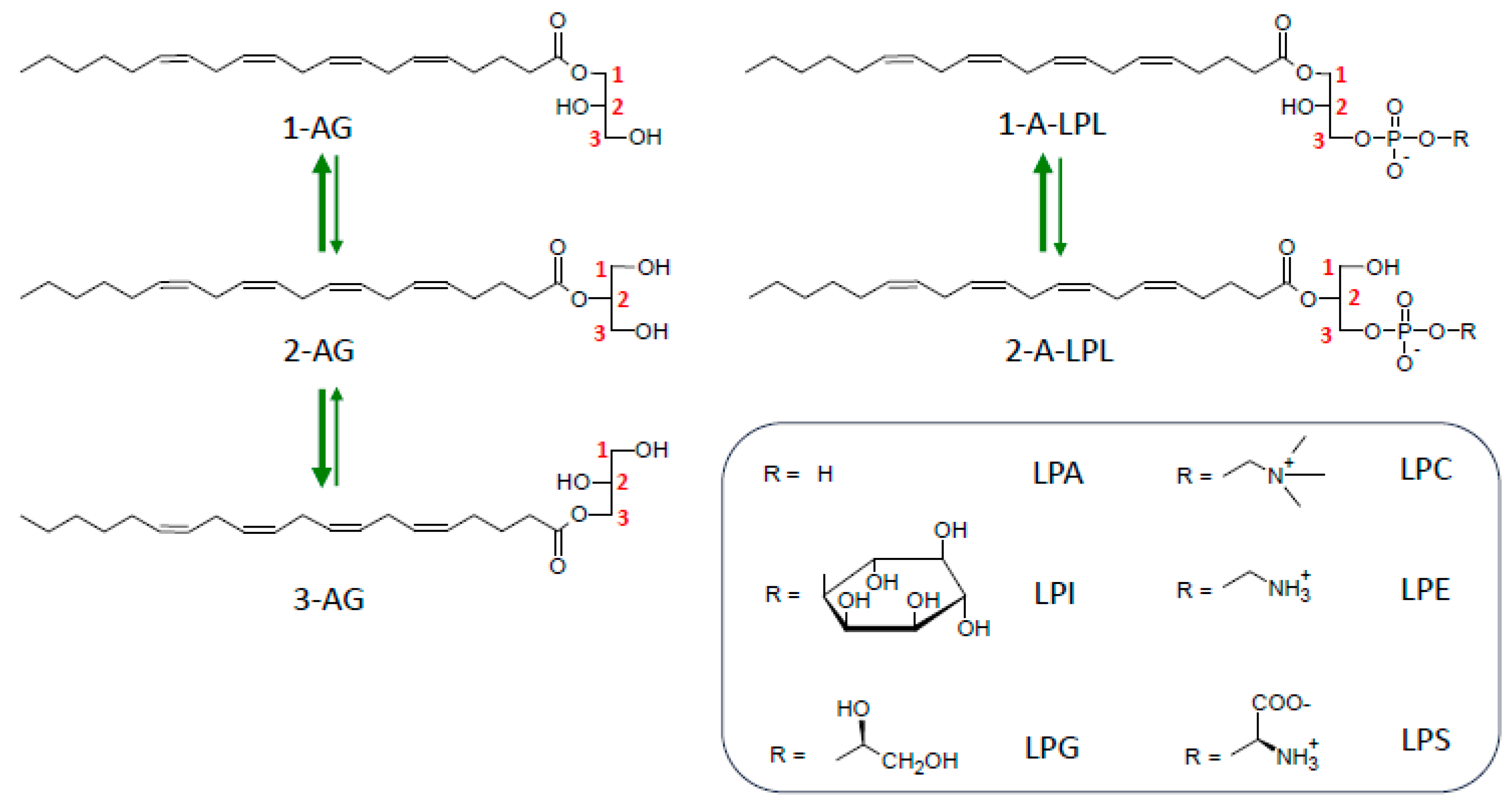 Molecules 29 03694 g005