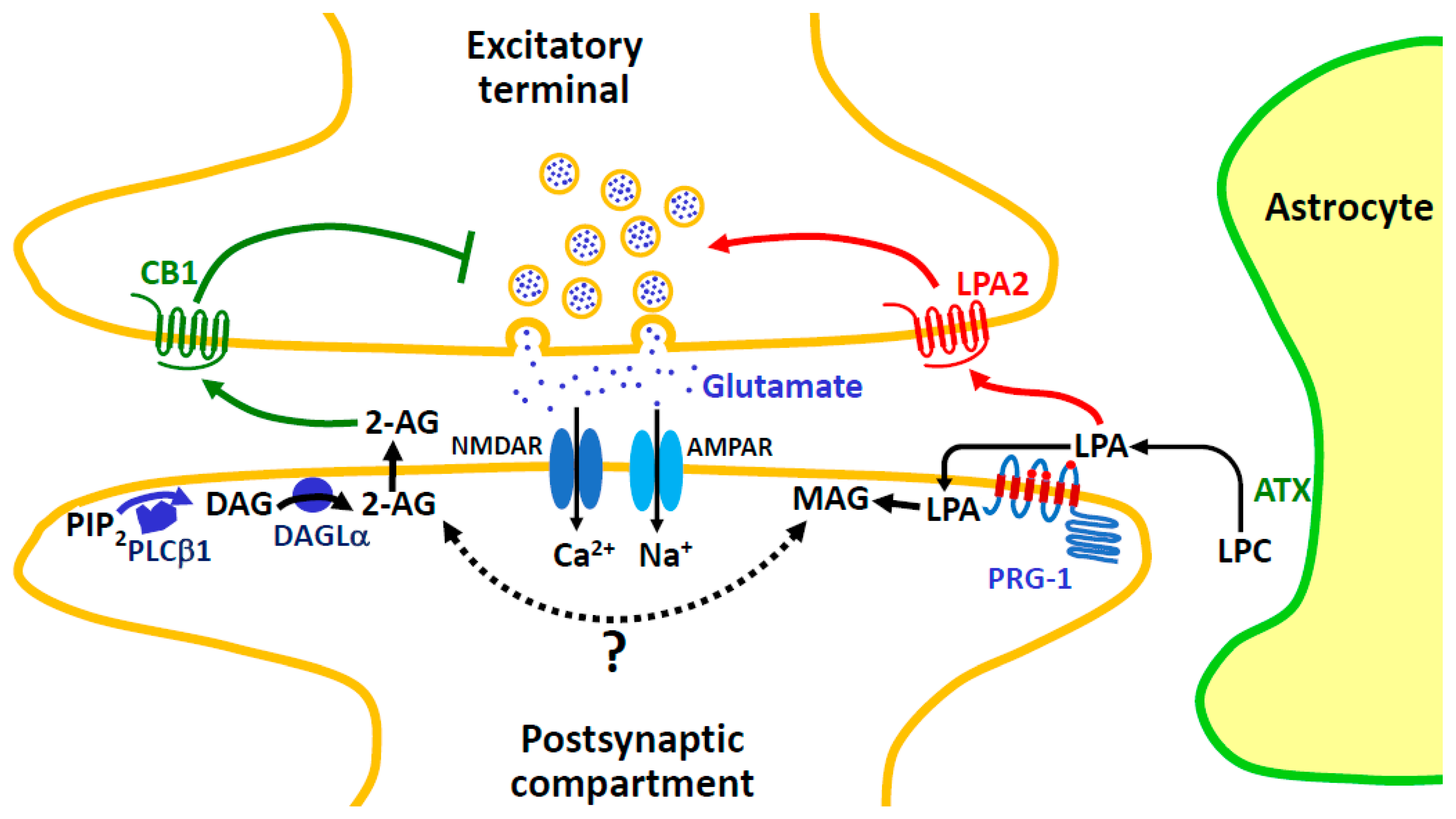 Molecules 29 03694 g009