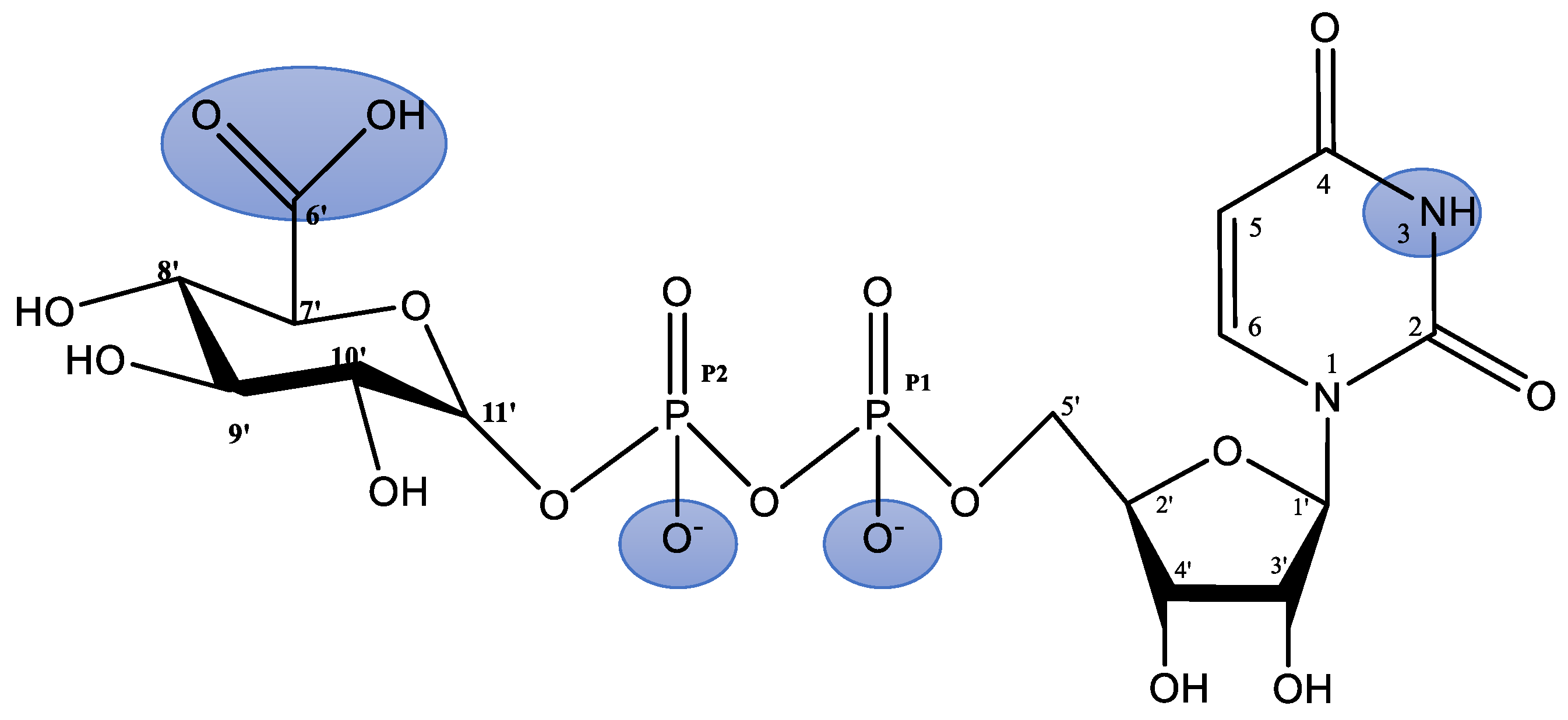 Molecules 29 03695 g001