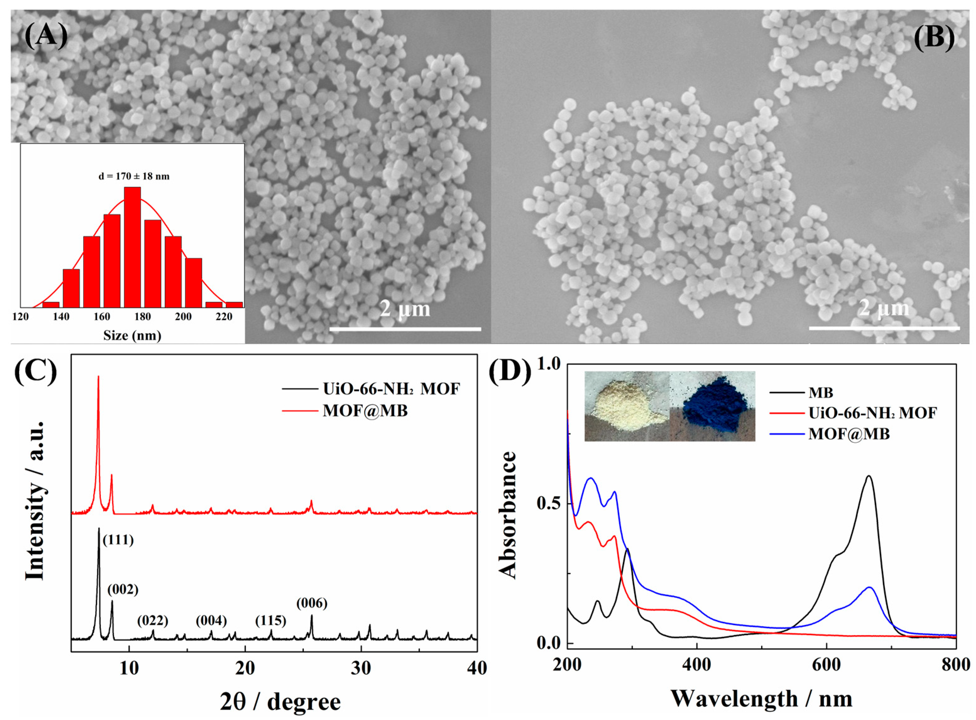 Molecules 29 03700 g001