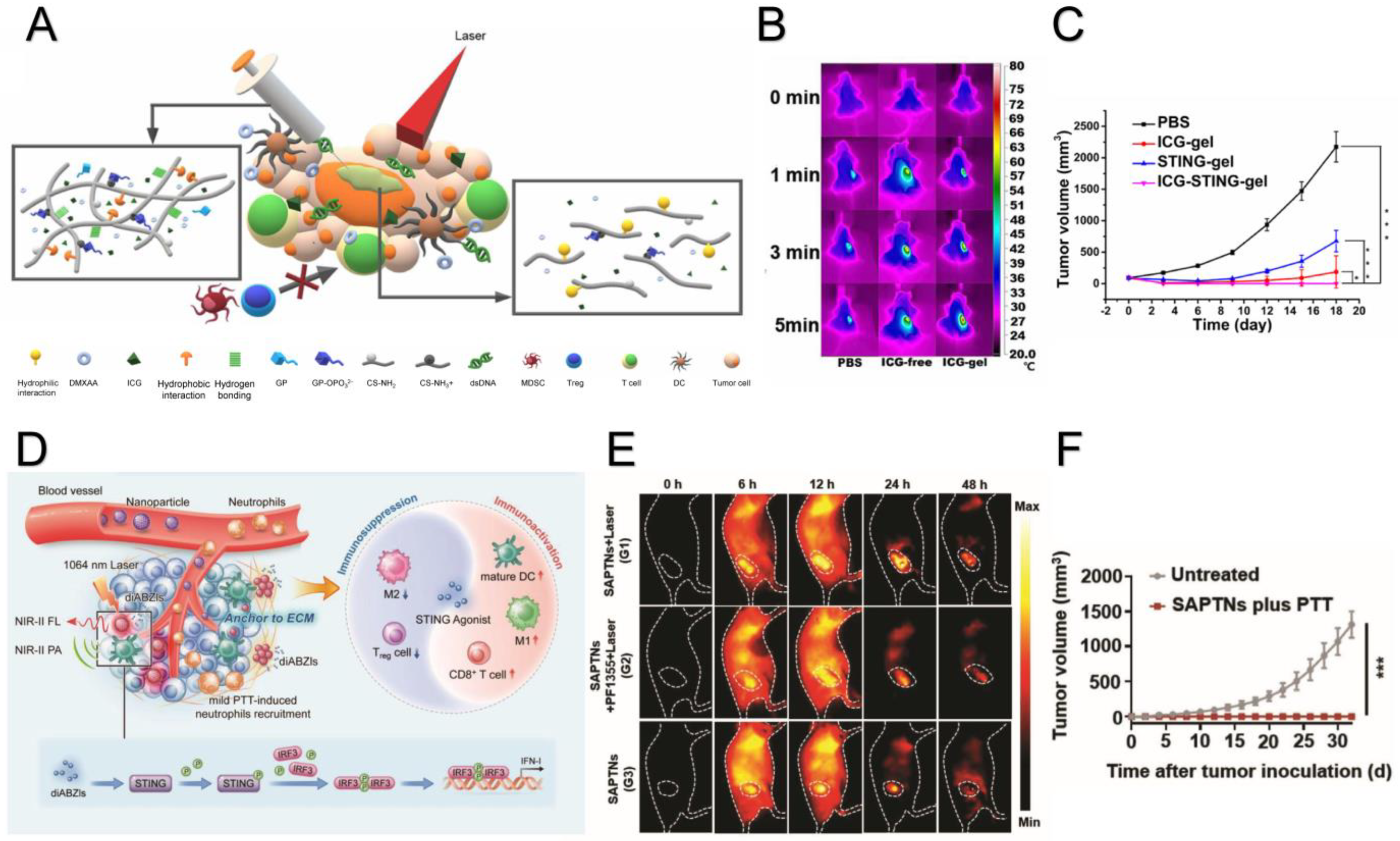 Molecules 29 03704 g001
