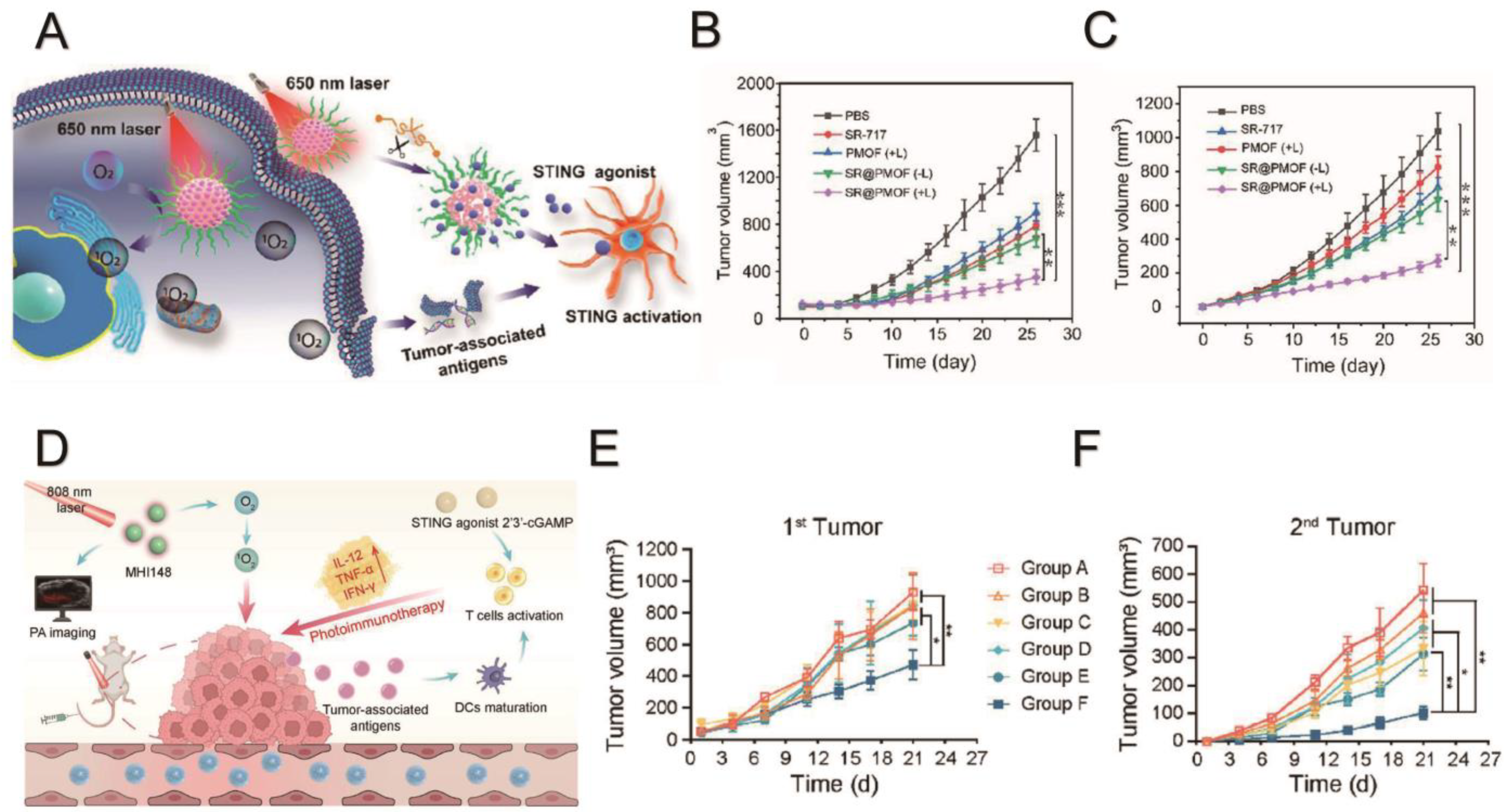 Molecules 29 03704 g002