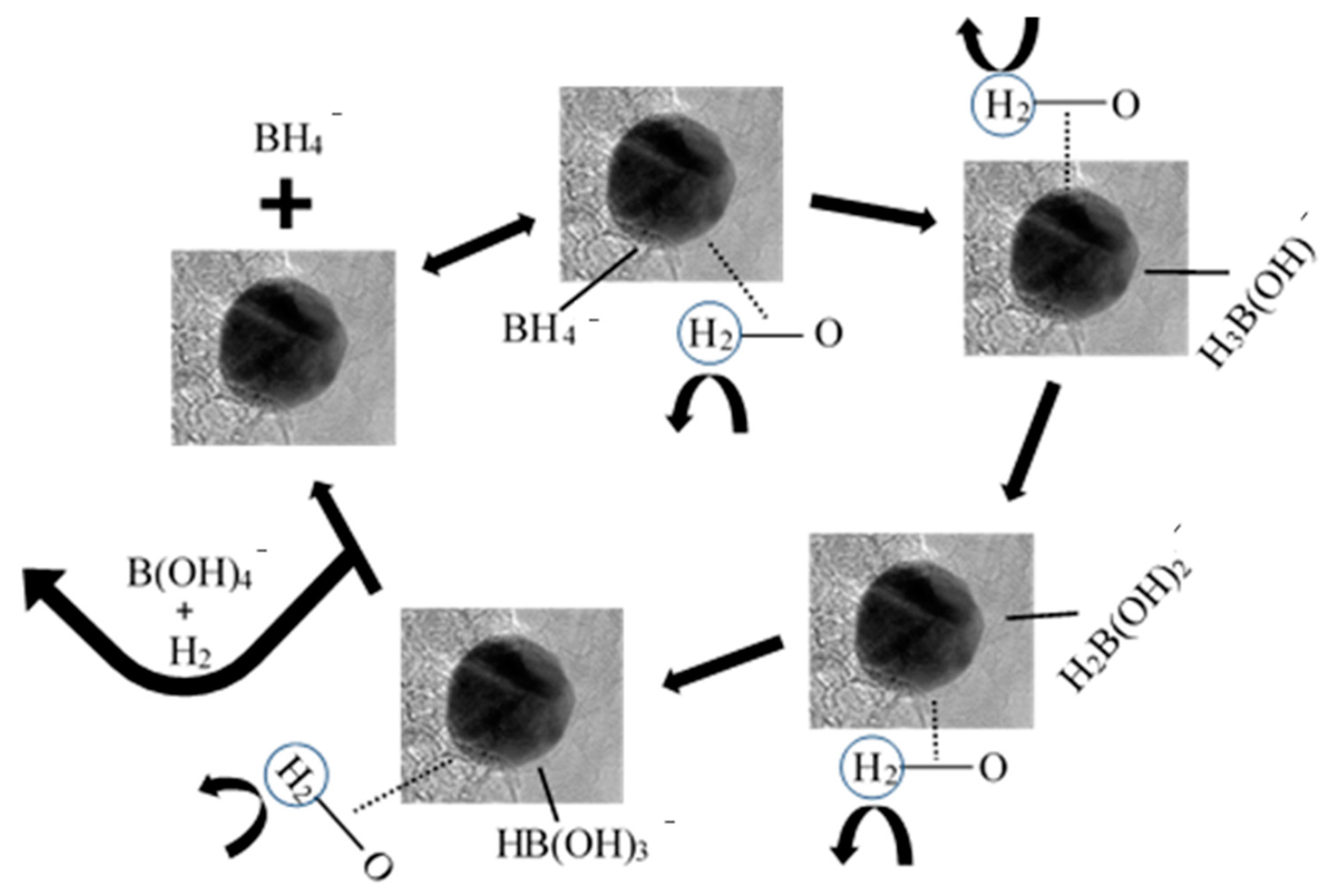 Modeling and simulation for cross-sectional ovalization of