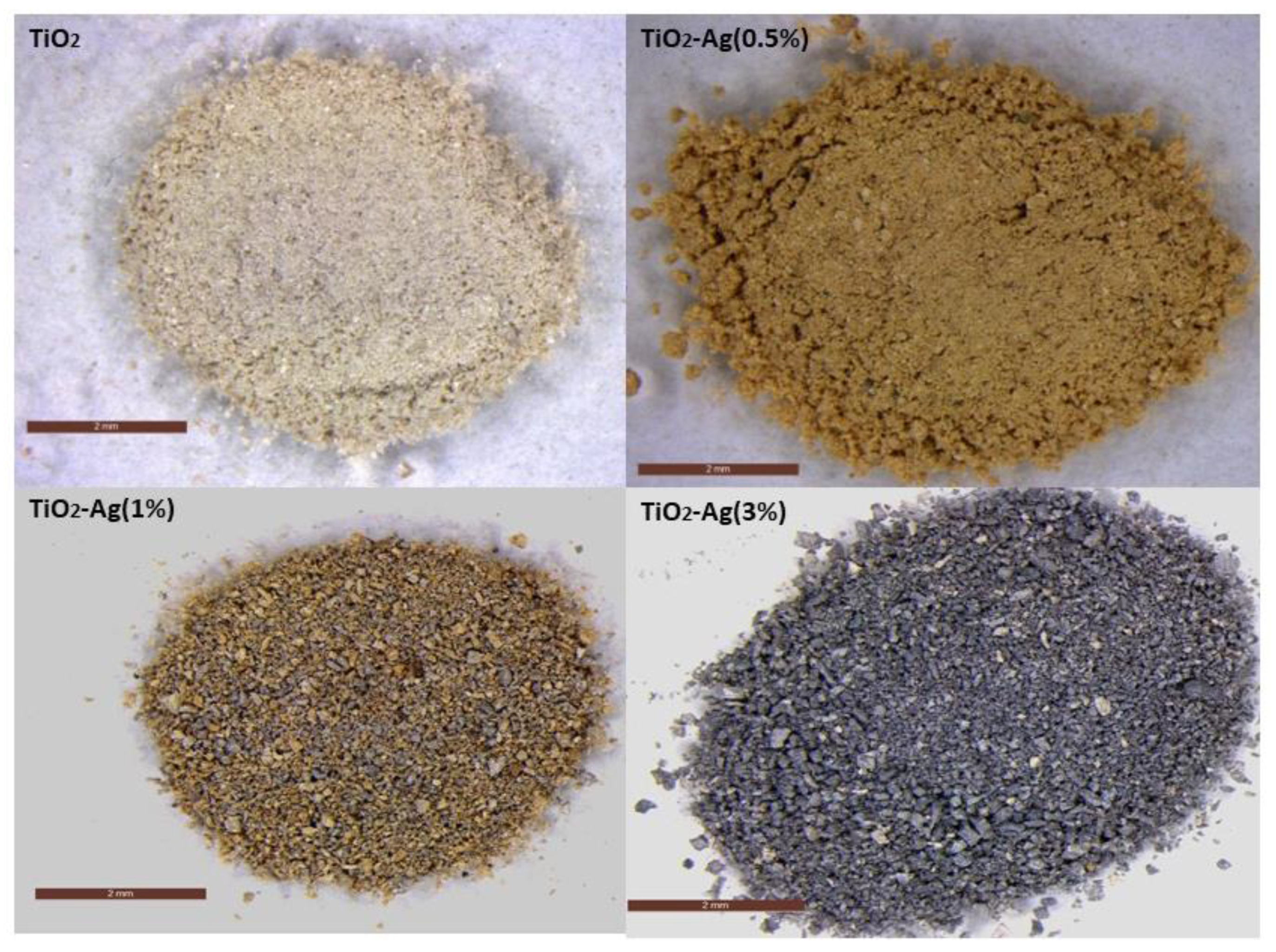 Molecules 29 03712 g001